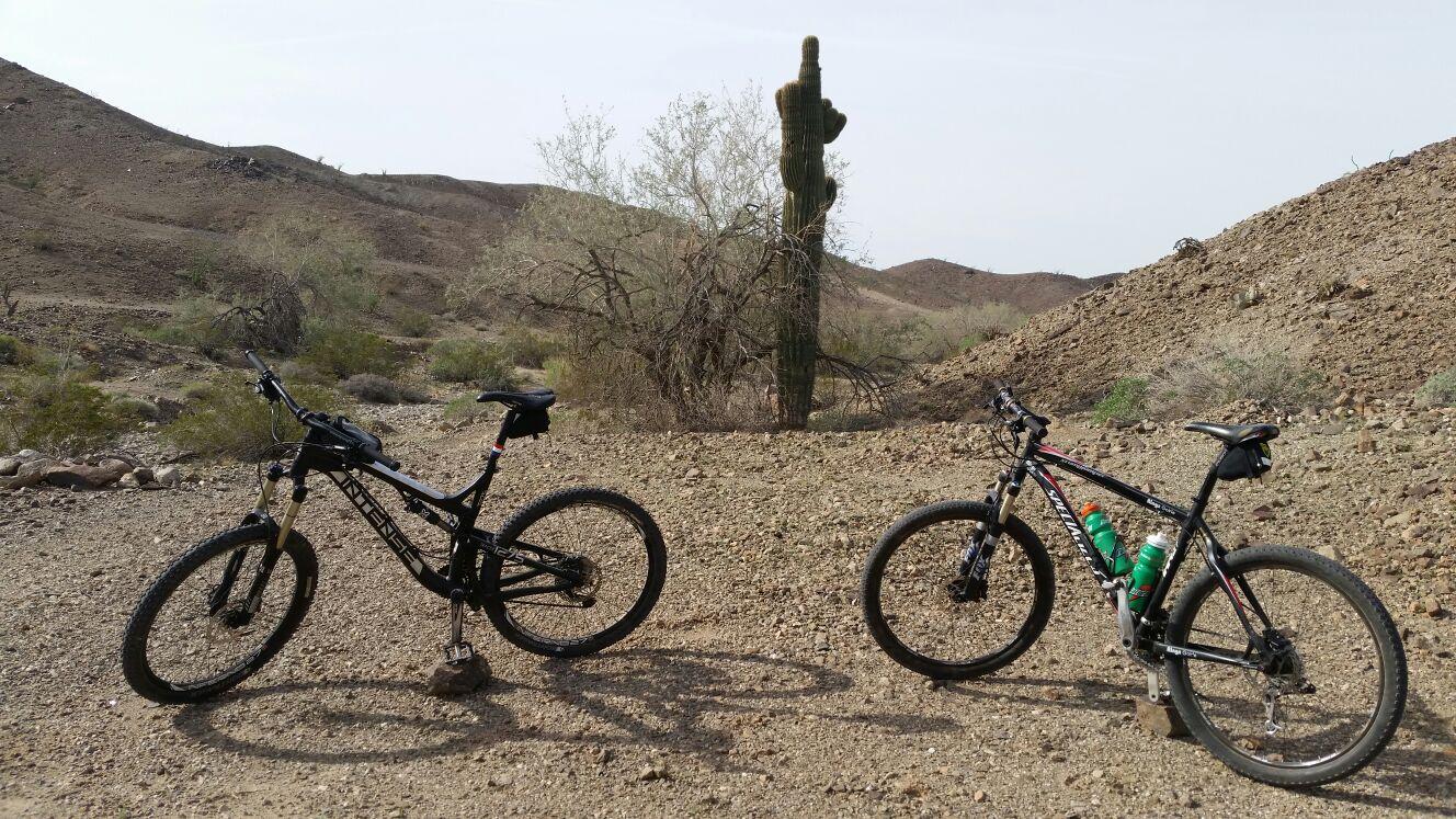 Two mountain bikes are positioned in a rugged, desert landscape featuring scattered rocks and sparse vegetation. In the background, a tall cactus is visible against a hilly terrain. The scene is set under a clear sky, showcasing a typical arid environment. Sugarloaf Peak mountain bike trail.