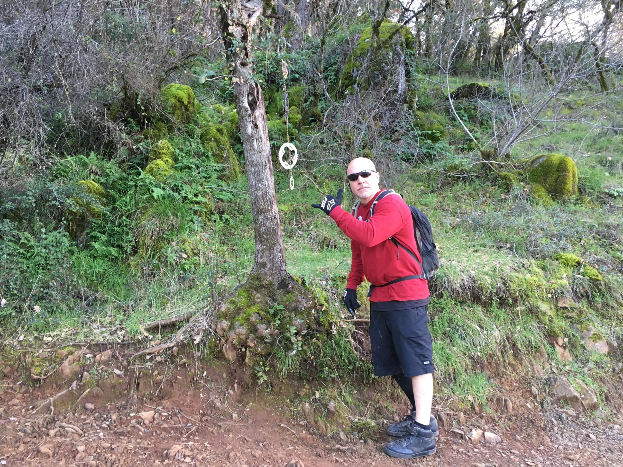 A person wearing a red hoodie, gloves, and sunglasses stands next to a tree in a lush, green forested area, pointing towards a circular object hanging from the tree. The background features rocks and vibrant greenery, indicating a natural hiking environment. Clementine / Forresthill Connector Trail mountain bike trail.