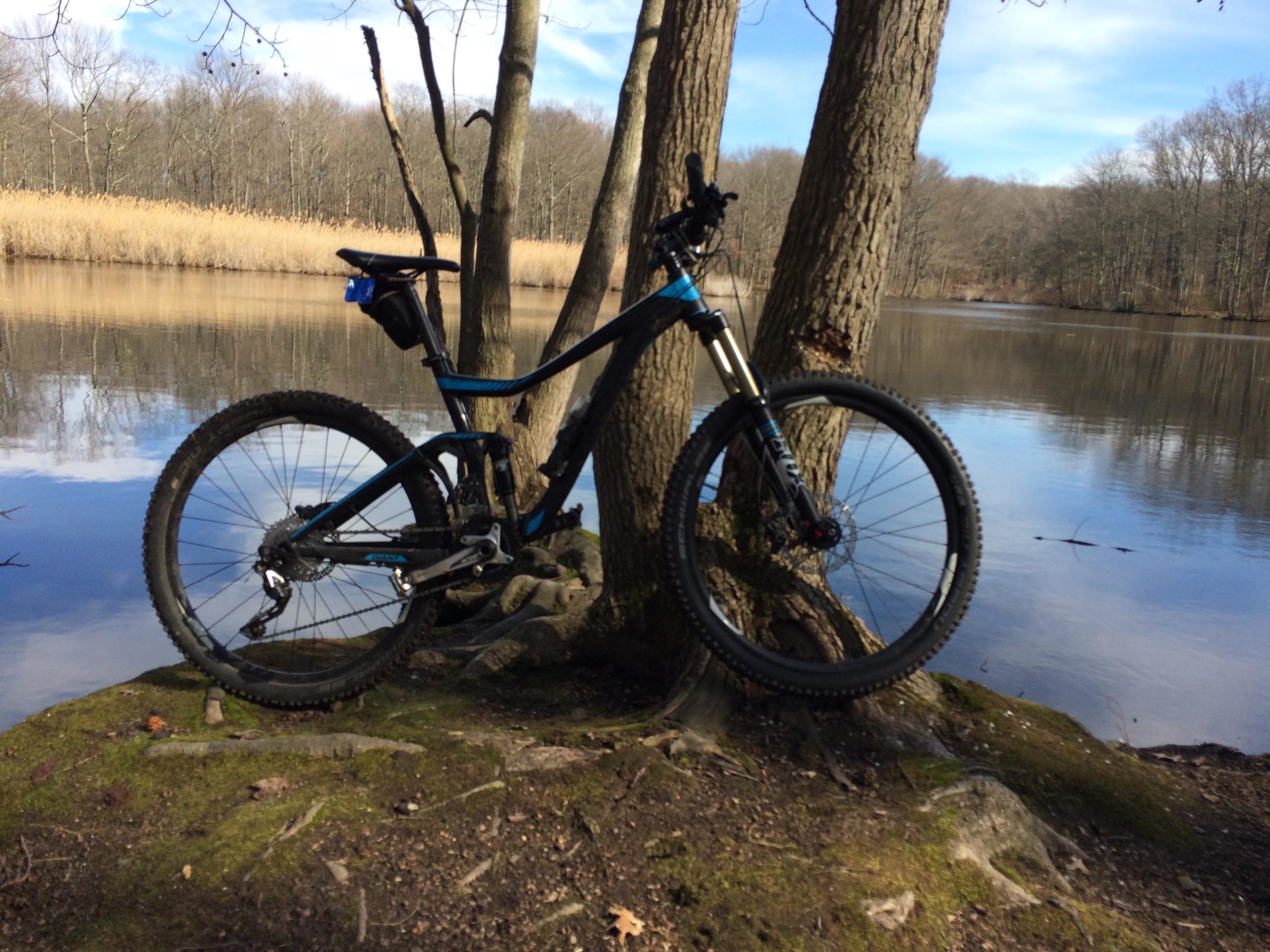 A mountain bike leaning against a tree by a calm lake, surrounded by trees and tall grasses. The scene is set on a sunny day with clear blue skies reflecting on the water's surface. Wolfes Pond park mountain bike trail.
