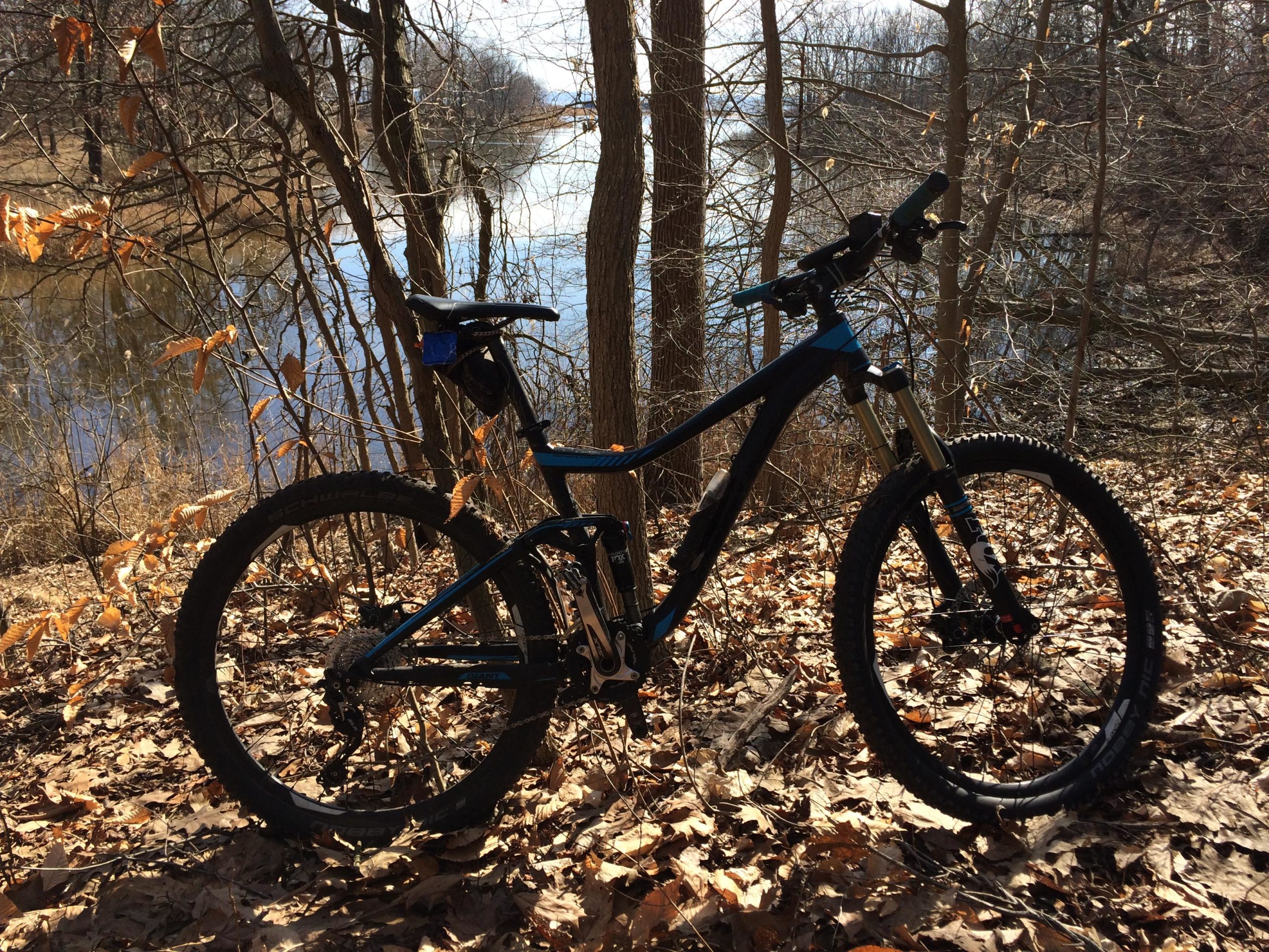 A mountain bike is positioned on a bed of fallen leaves near a calm river surrounded by trees, with a clear blue sky in the background. Wolfes Pond park mountain bike trail.