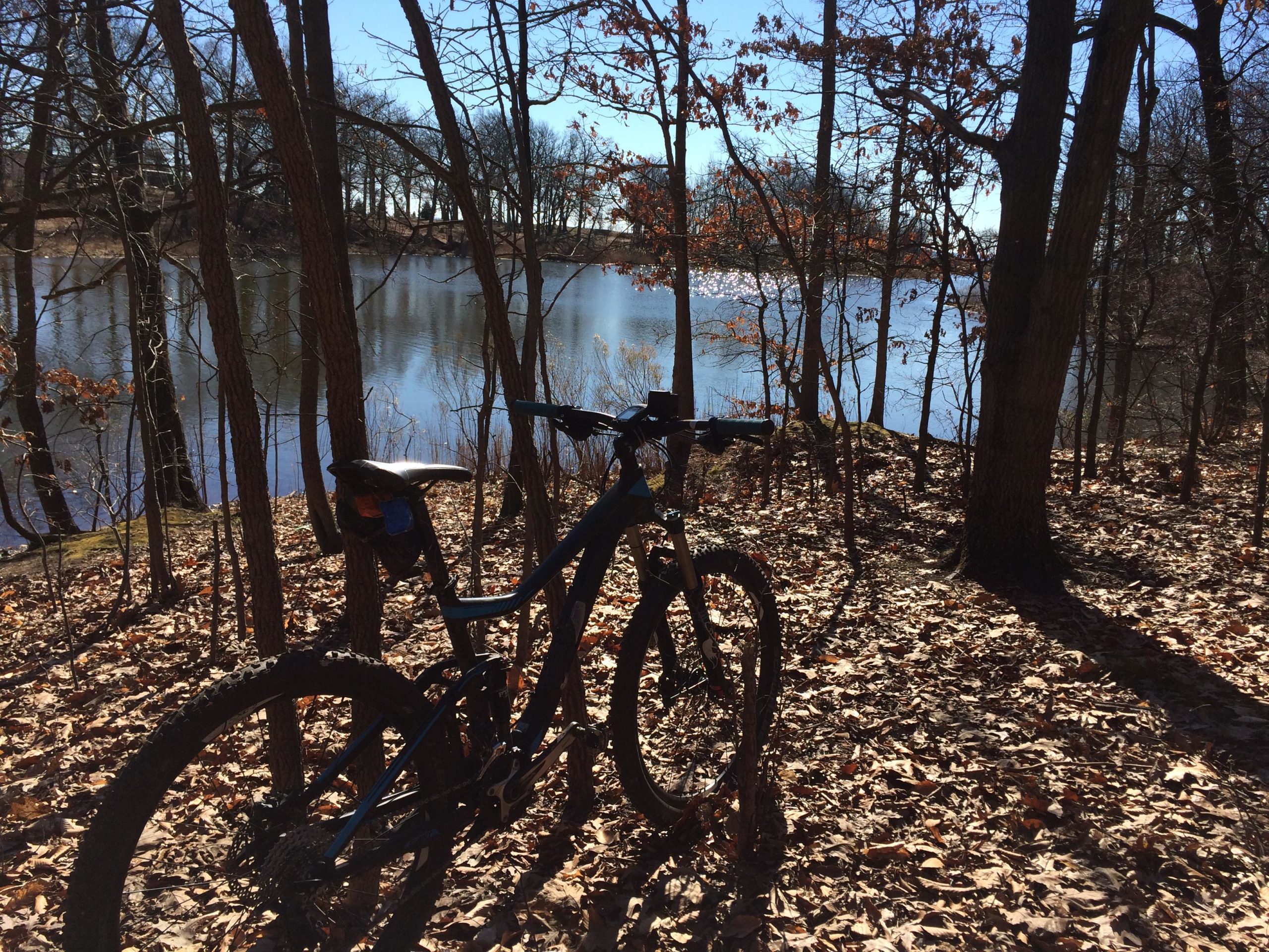  Wolfes Pond park mountain bike trail.