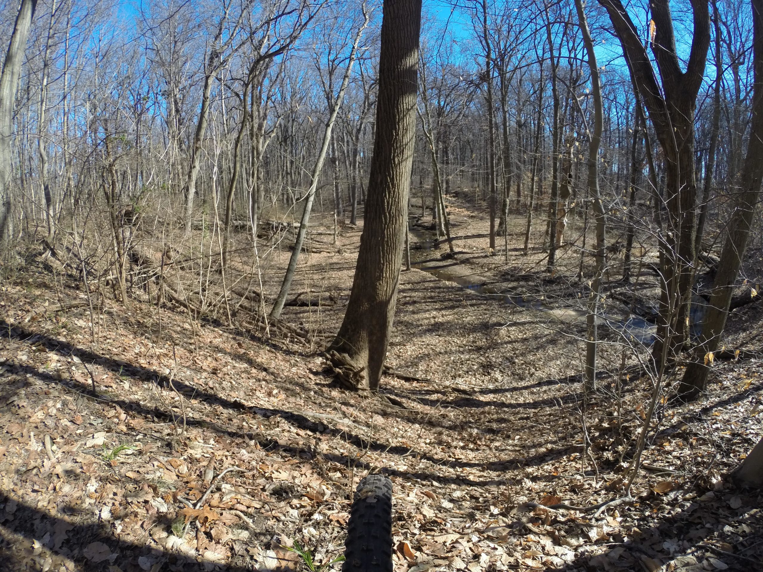 A wooded area in early spring, featuring bare trees and a leaf-covered forest floor. A slight incline is visible, leading down towards a small stream. The sky is clear and blue, creating a tranquil outdoor setting. Wolfes Pond park mountain bike trail.