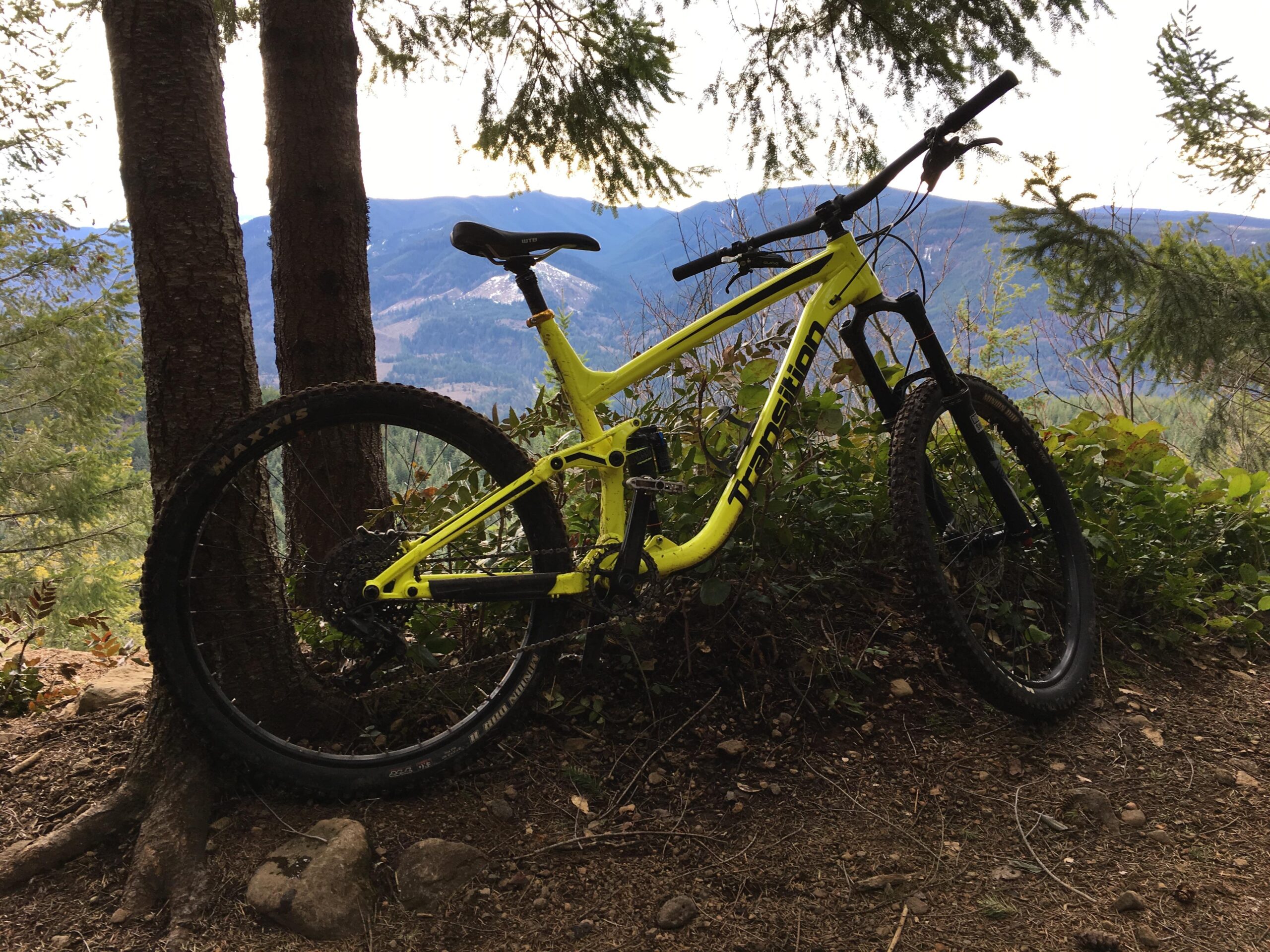 Transition Patrol: A bright yellow mountain bike leaning against two trees, surrounded by foliage and rocky ground, with a scenic view of distant mountains in the background.