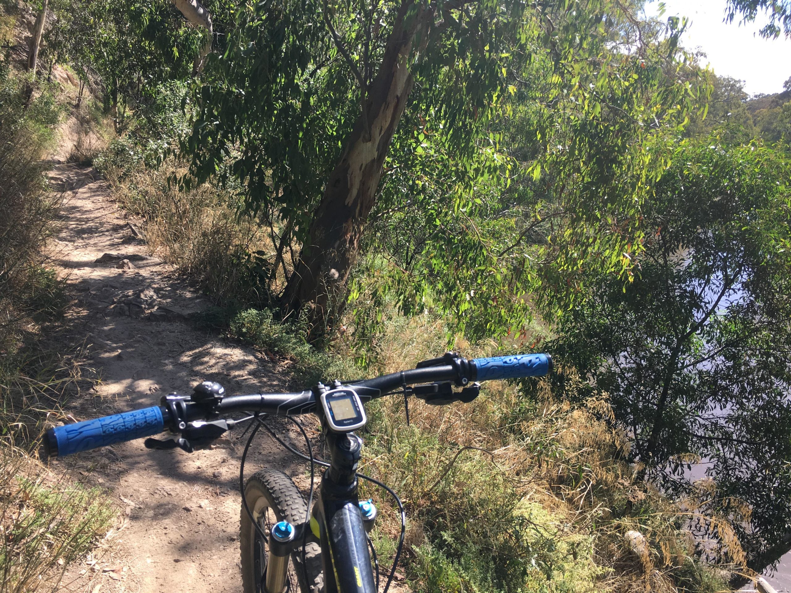 Close-up view of a mountain bike's handlebars on a dirt trail, surrounded by lush greenery and trees. The pathway curves alongside a body of water, creating a scenic outdoor setting for cycling. Yarra Trails mountain bike trail.