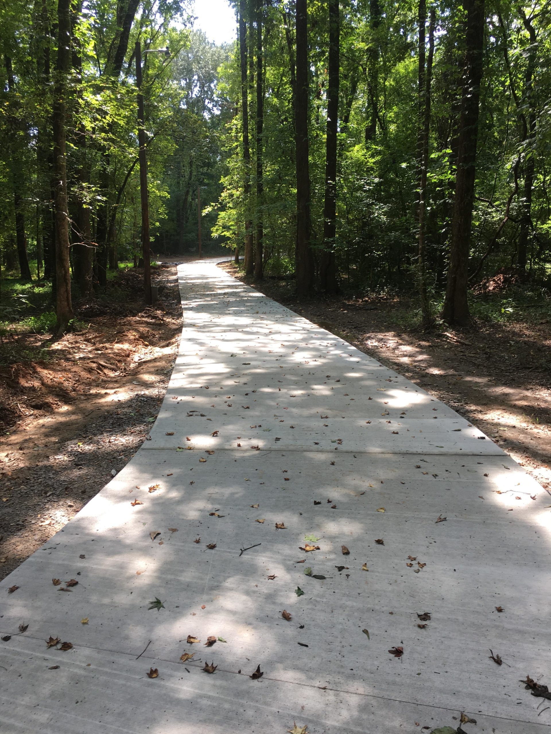 A winding concrete pathway through a serene forest, surrounded by tall trees and dappled sunlight. Leaves and small twigs scatter along the pathway, creating a natural ambiance in a tranquil outdoor setting. Spadra Creek Nature Trail mountain bike trail.