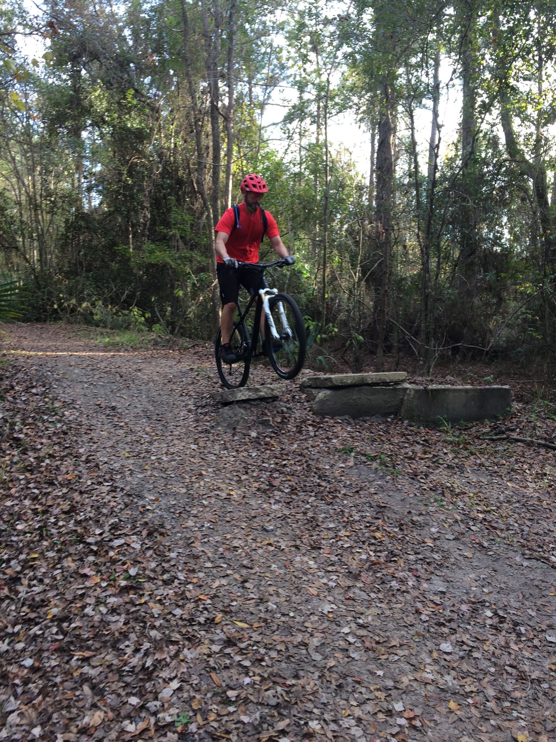A person wearing a red helmet and a red shirt is performing a jump on a mountain bike over a small stone obstacle on a dirt trail surrounded by trees. The ground is covered with fallen leaves, indicating a natural outdoor environment. Tillie Fowler Regional Park mountain bike trail.