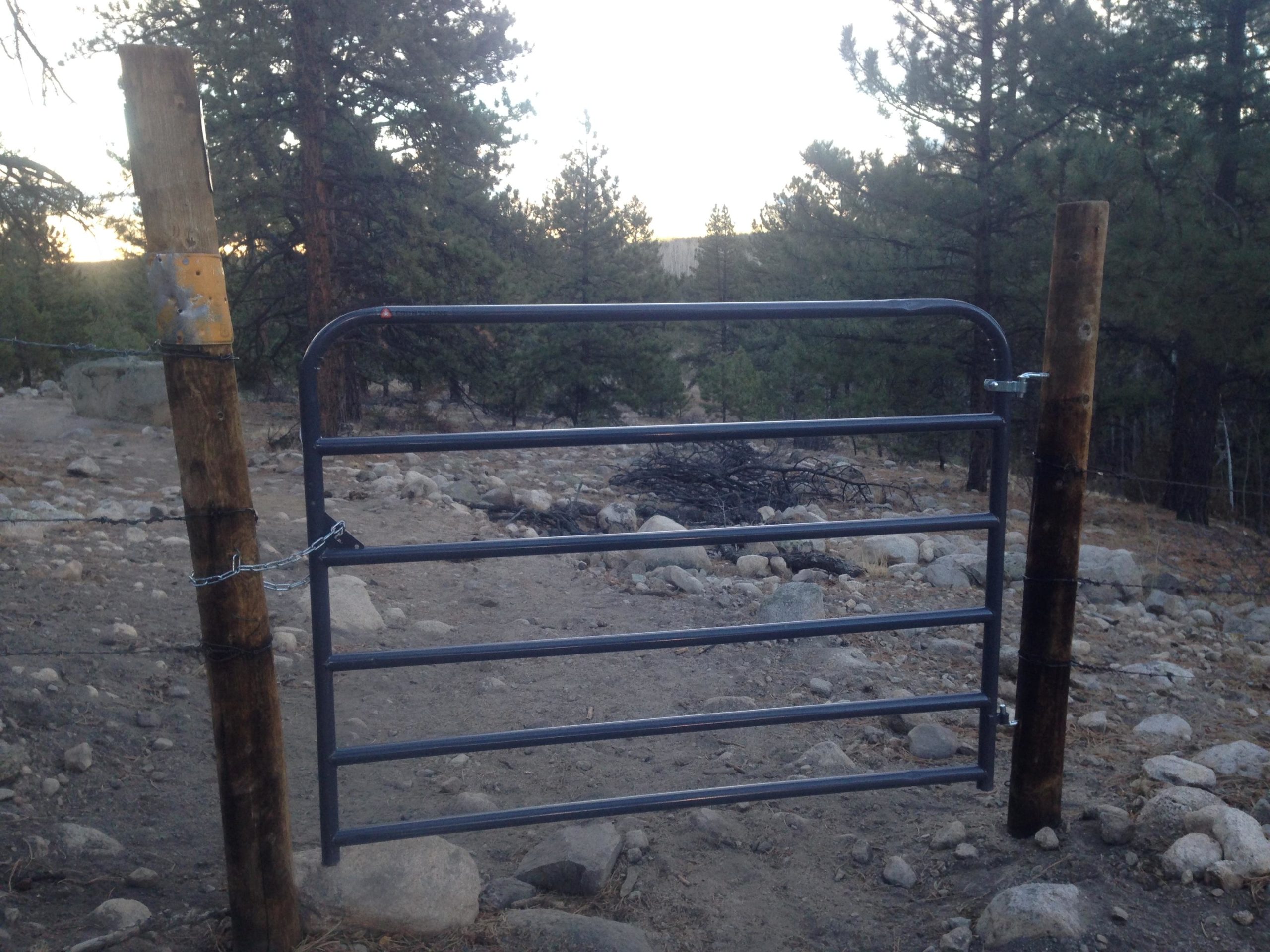 Metal gate secured with a chain, situated between two wooden posts in a rocky, forested area. Pine trees are visible in the background, with soft lighting indicating either sunrise or sunset. The ground is covered with small stones and dirt. Colorado Trail: Mt. Shavano thd to Chalk Creek thd mountain bike trail.