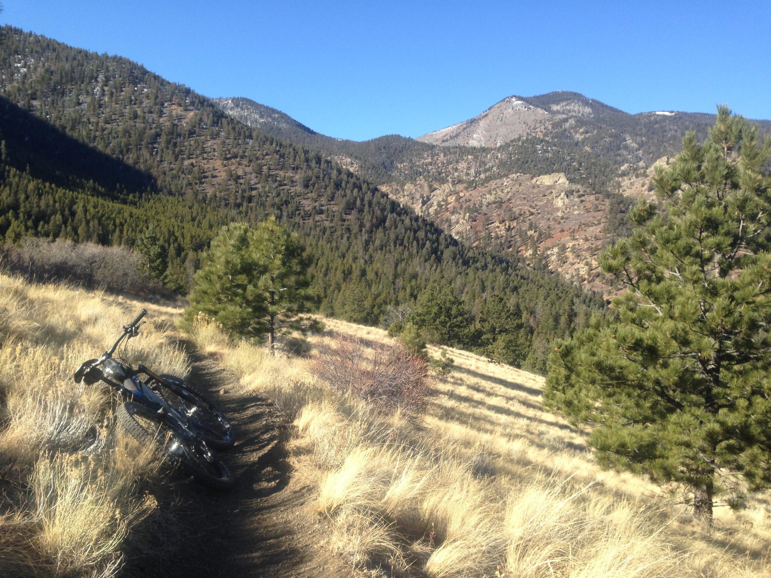 A mountain bike resting on a dirt trail surrounded by golden grass and pine trees, with rolling hills and mountains in the background under a clear blue sky. Rainbow Trail: Methodist Mountain Thd to Bear Creek Thd mountain bike trail.