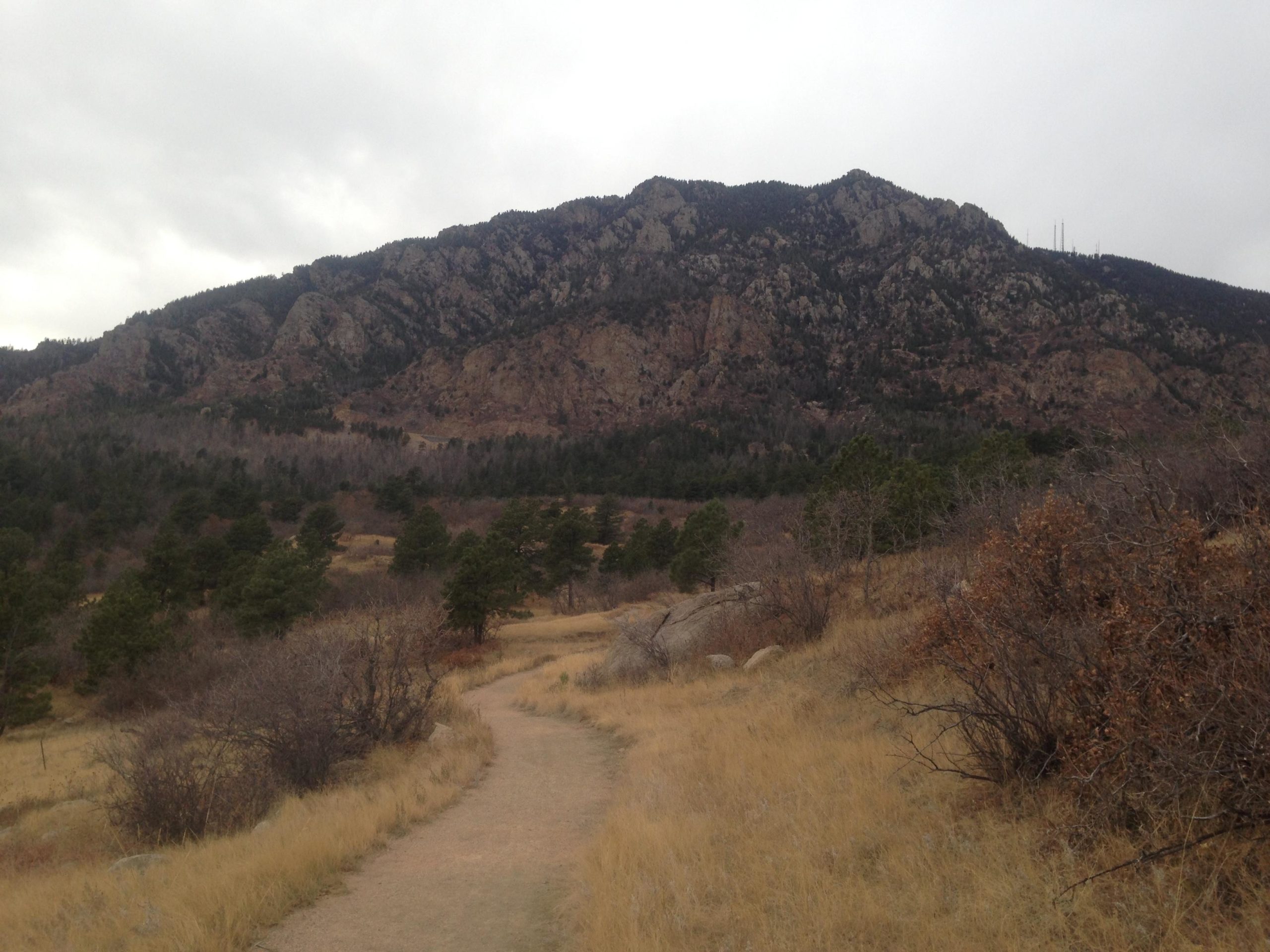 A winding dirt path leads through a grassy area adorned with sparse shrubs and scattered rocks, with a backdrop of a rocky mountain range under an overcast sky. The mountain is partially covered by dense evergreen trees. Cheyenne Mountain State Park mountain bike trail.