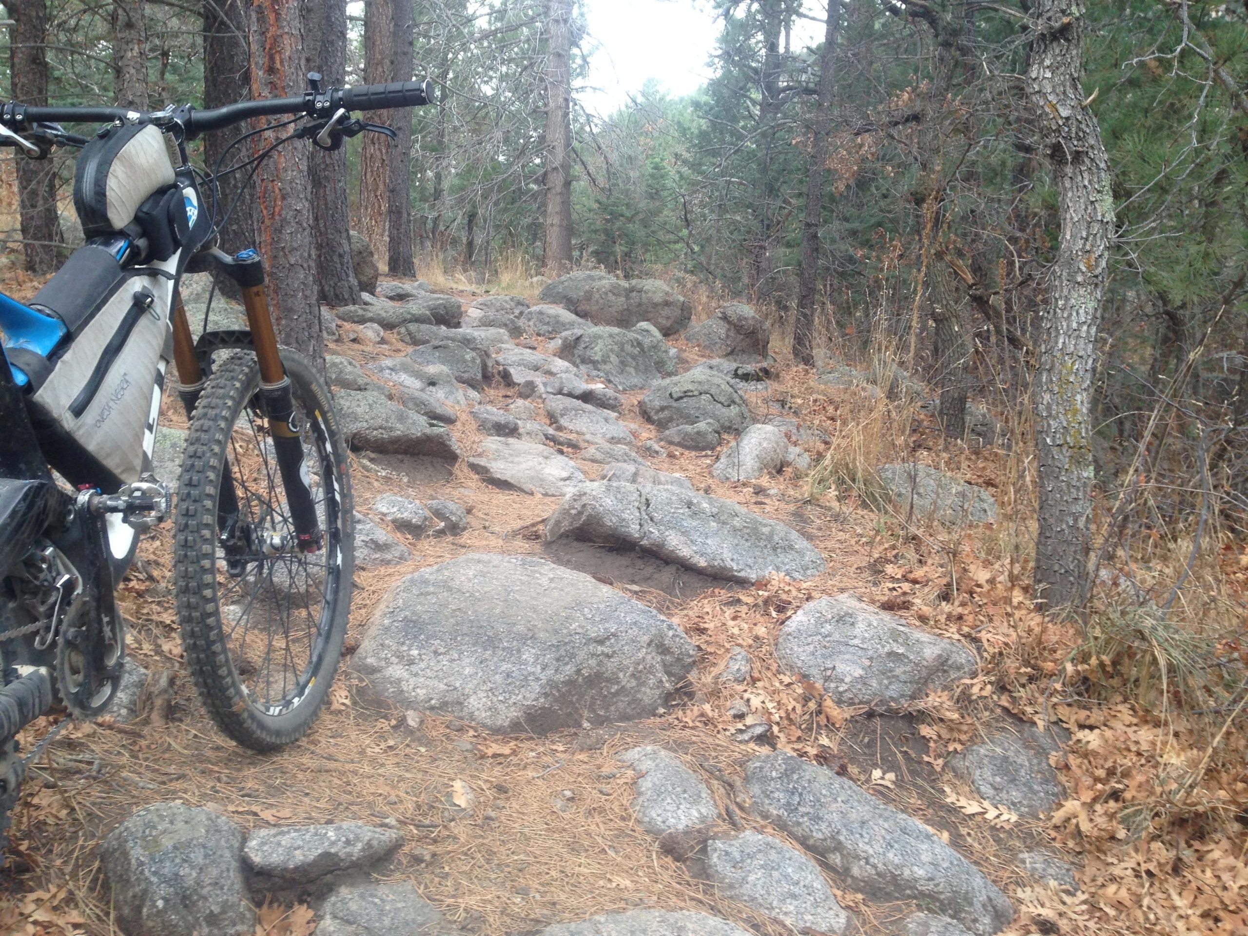 A mountain bike parked on a rocky trail surrounded by tall trees and scattered fallen leaves. The path is uneven and lined with large stones, indicating a rugged outdoor setting ideal for biking. Cheyenne Mountain State Park mountain bike trail.