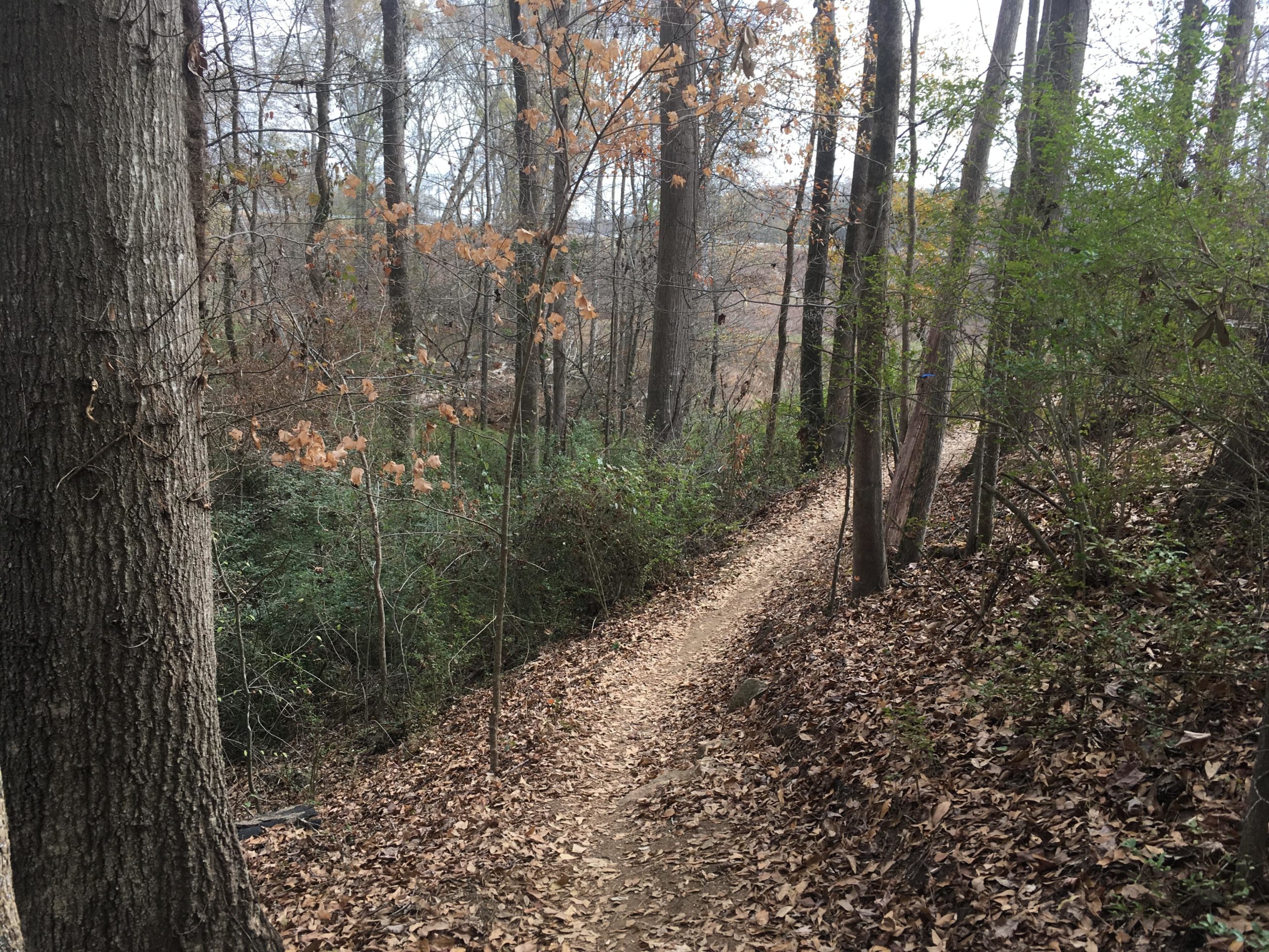 A winding dirt trail lined with leaf-covered ground and surrounded by trees in a wooded area. Some trees exhibit autumn leaves, while others are bare, indicating a late fall or early winter season. Trail Creek Park mountain bike trail.