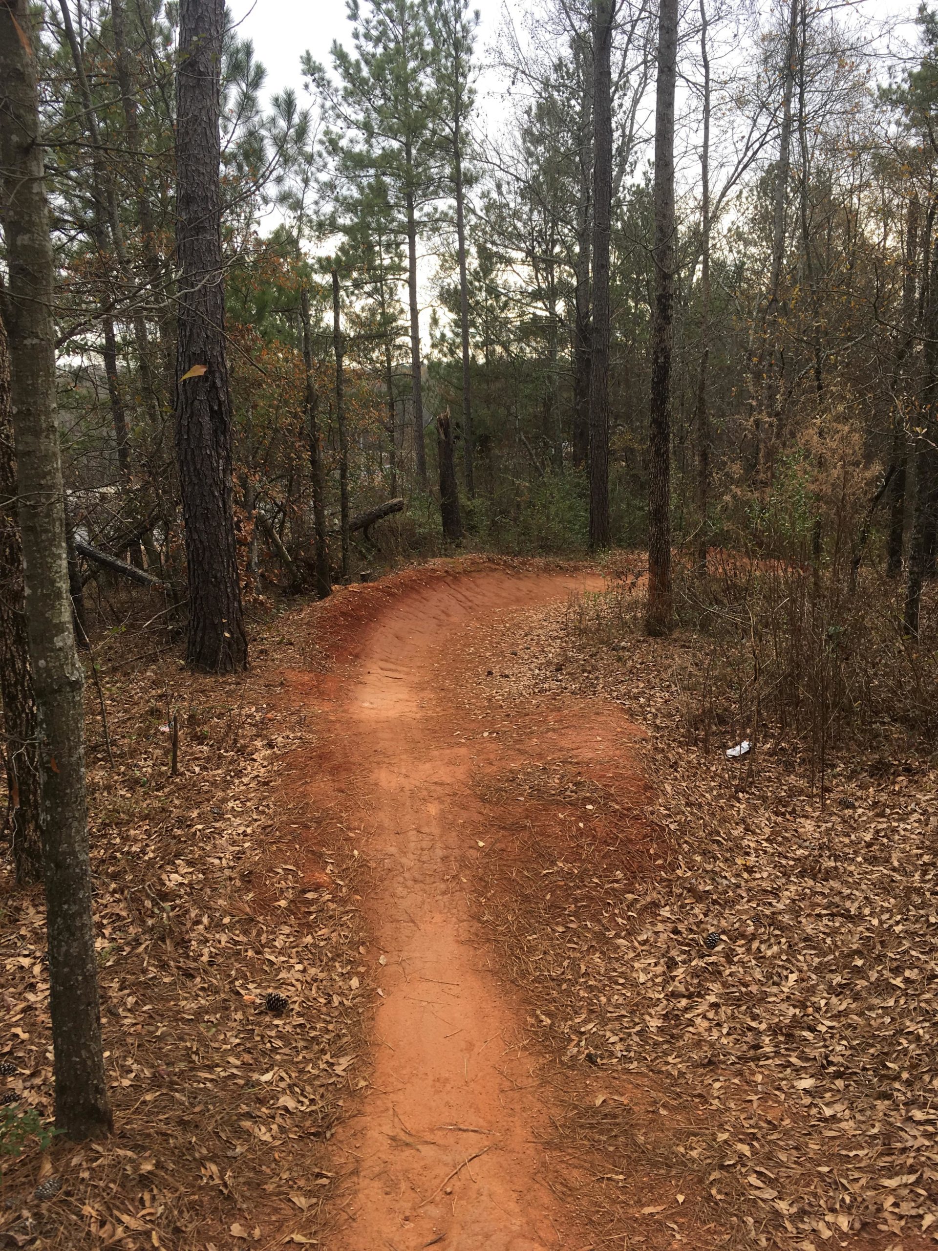 A winding dirt path through a wooded area, surrounded by tall trees and scattered leaves on the ground. The path, reddish in color, curves gently and shows signs of use, with a few pine cones and dried leaves along the edges. Trail Creek Park mountain bike trail.