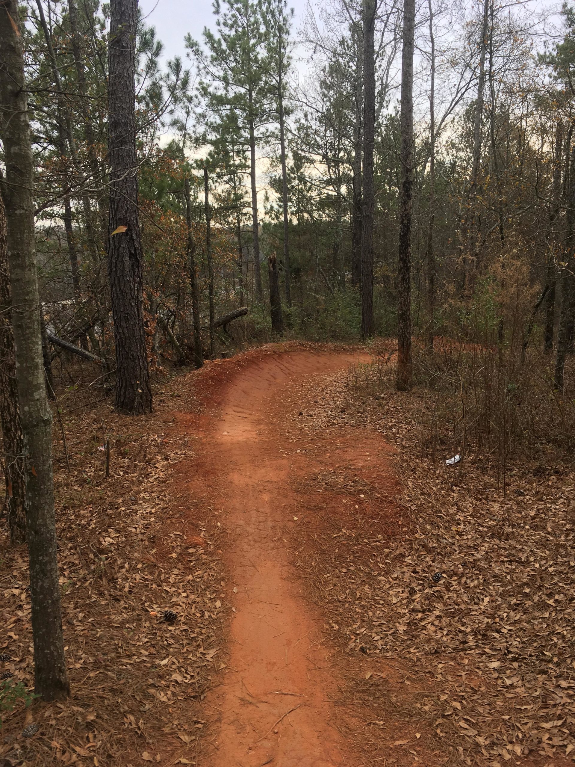 A winding dirt path through a forest, surrounded by tall pine trees and scattered dried leaves on the ground, under a cloudy sky. Trail Creek Park mountain bike trail.