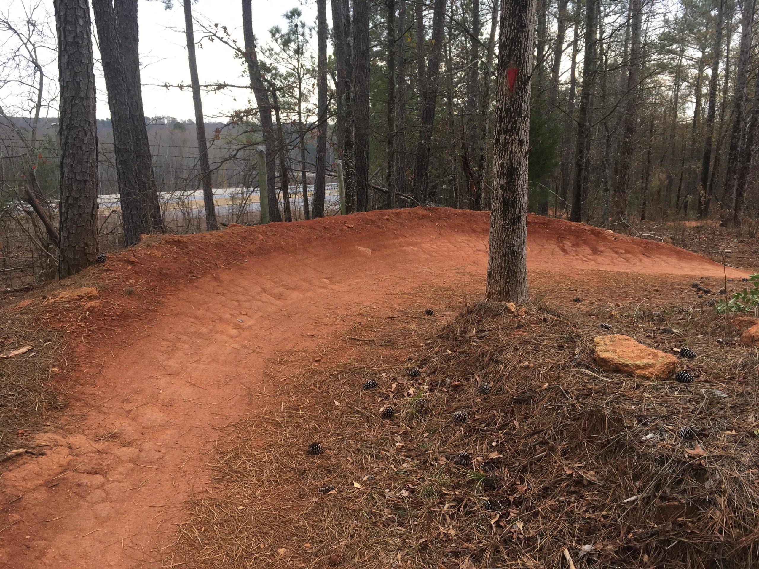 A winding dirt bike trail surrounded by trees, featuring a smooth, compacted path curving to the right. Pine cones and fallen leaves are scattered along the trail and ground, with a hint of a road visible in the background. Trail Creek Park mountain bike trail.