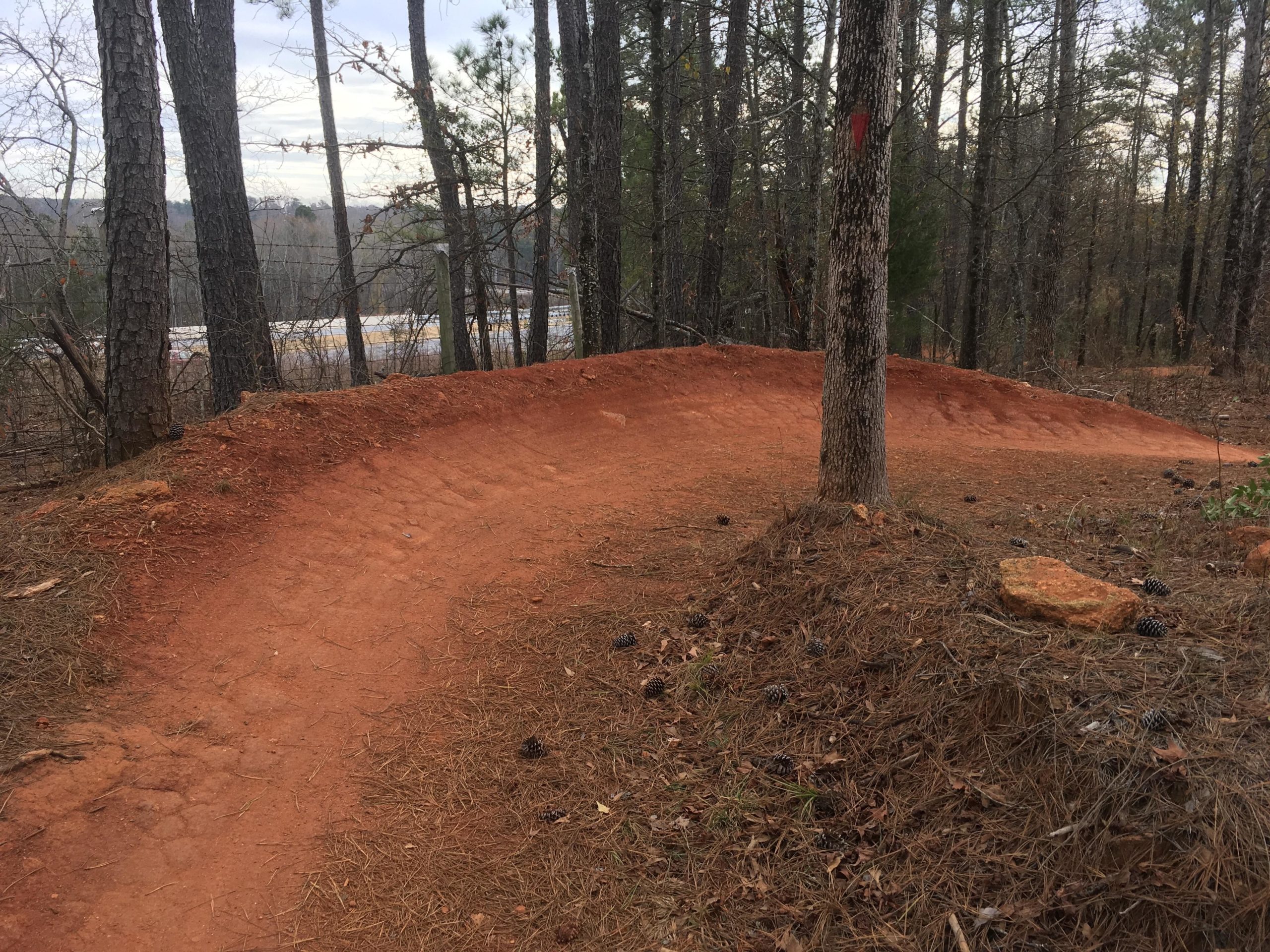 A winding dirt bike trail surrounded by tall trees, with a reddish-brown surface and scattered pine cones on the ground. The path curves gently to the right, leading through a forested area. Trail Creek Park mountain bike trail.
