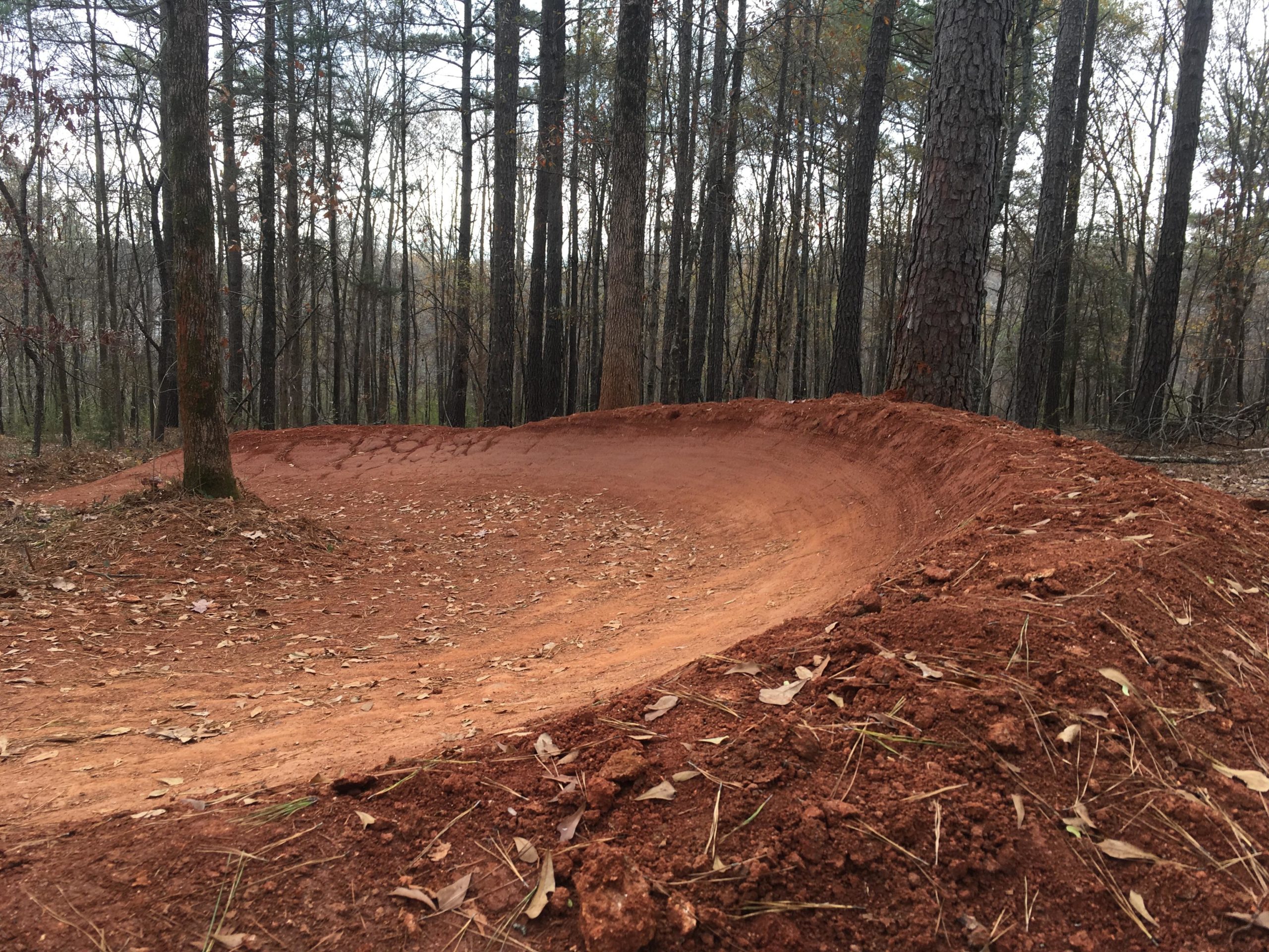 A winding dirt bike trail curving through a wooded area, featuring a freshly shaped red dirt berm and scattered leaves on the ground. Tall pine trees line the sides of the trail, creating a natural backdrop. Trail Creek Park mountain bike trail.
