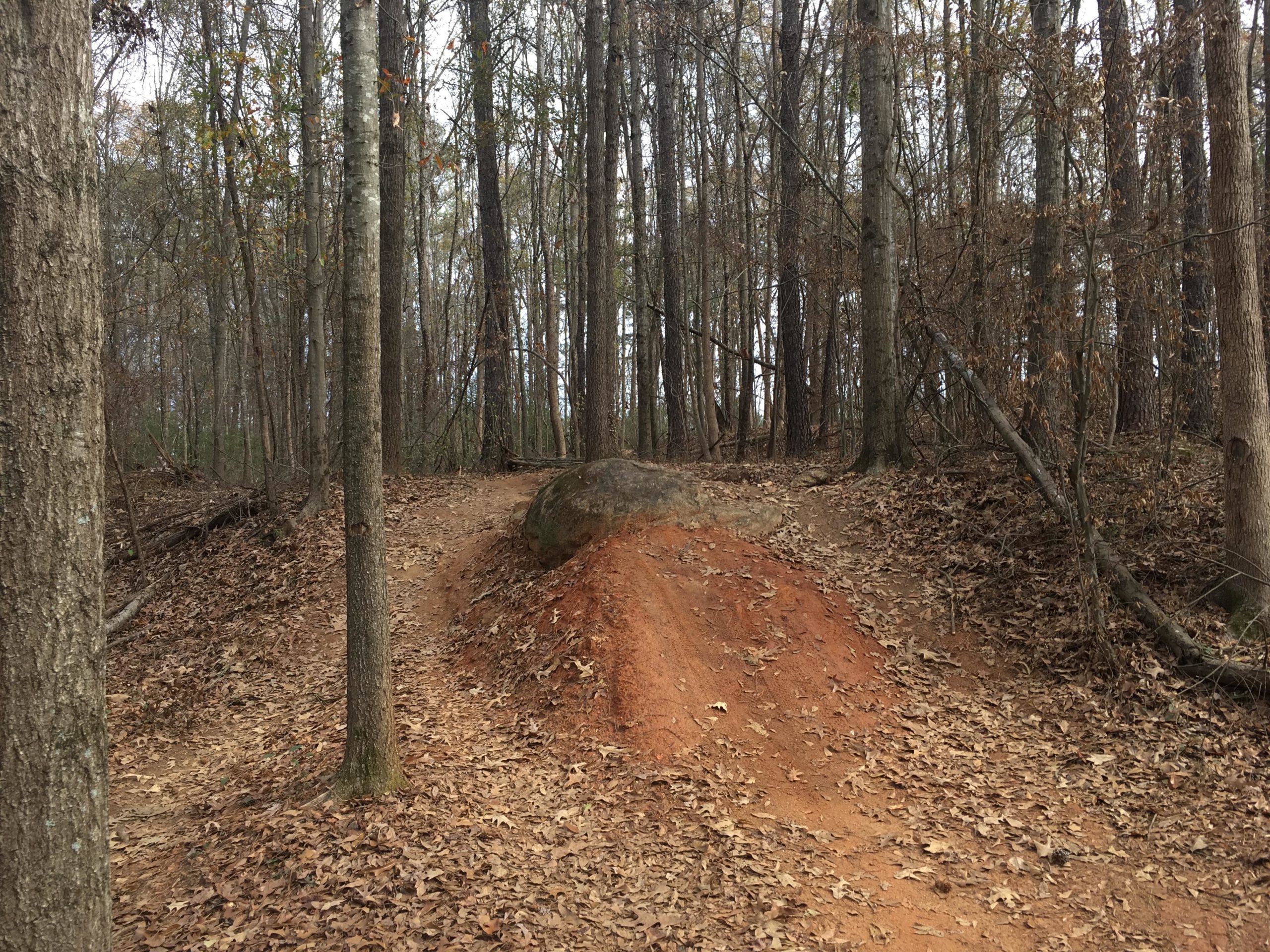 A dirt trail winding through a wooded area, with a small hill and a large rock on the right side. The ground is covered in fallen leaves, and the trees are mostly bare, indicating a late autumn or early winter setting. Trail Creek Park mountain bike trail.