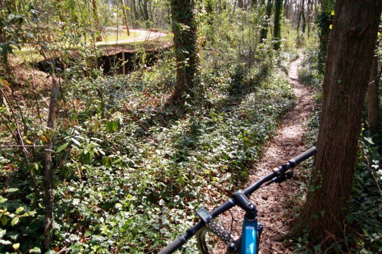 A narrow bike trail surrounded by lush greenery, including trees and shrubs, with a bicycle handlebar visible in the foreground. The path is partially covered with leaves, and the scene suggests a tranquil outdoor setting ideal for biking or hiking.