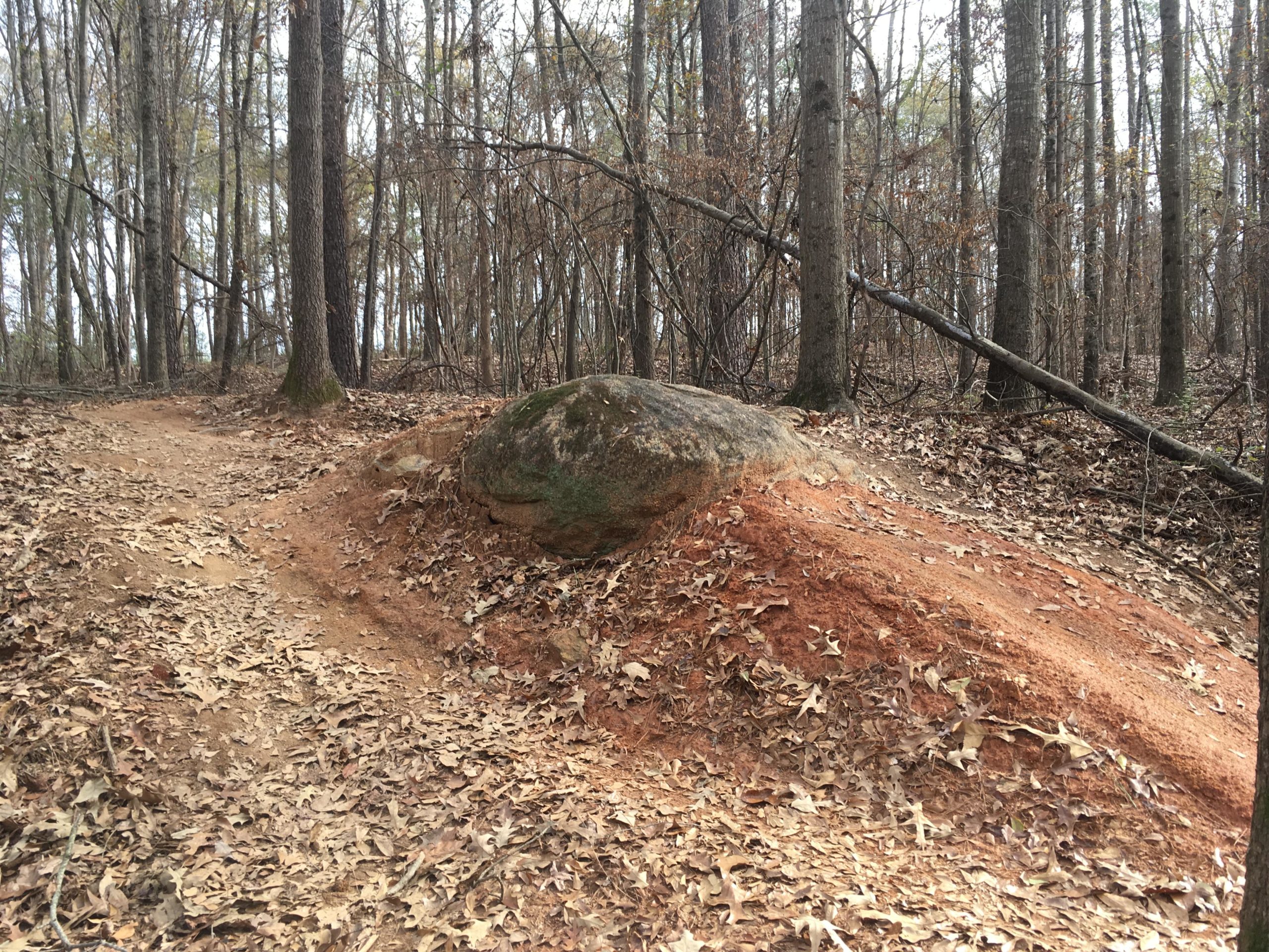A rocky outcrop alongside a dirt trail in a wooded area, surrounded by trees and fallen leaves. The scene depicts a natural setting with sparse vegetation and a path leading into the woods. Trail Creek Park mountain bike trail.