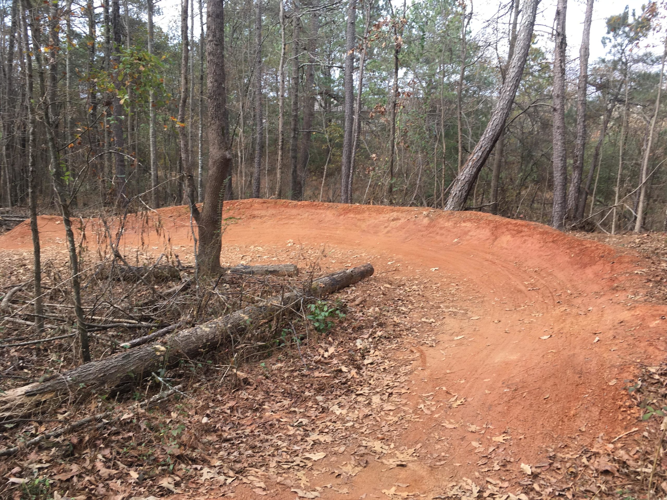 A winding dirt trail in a wooded area, surrounded by trees and fallen leaves. The path is partially covered with orange clay, showing evidence of recent use. Trail Creek Park mountain bike trail.
