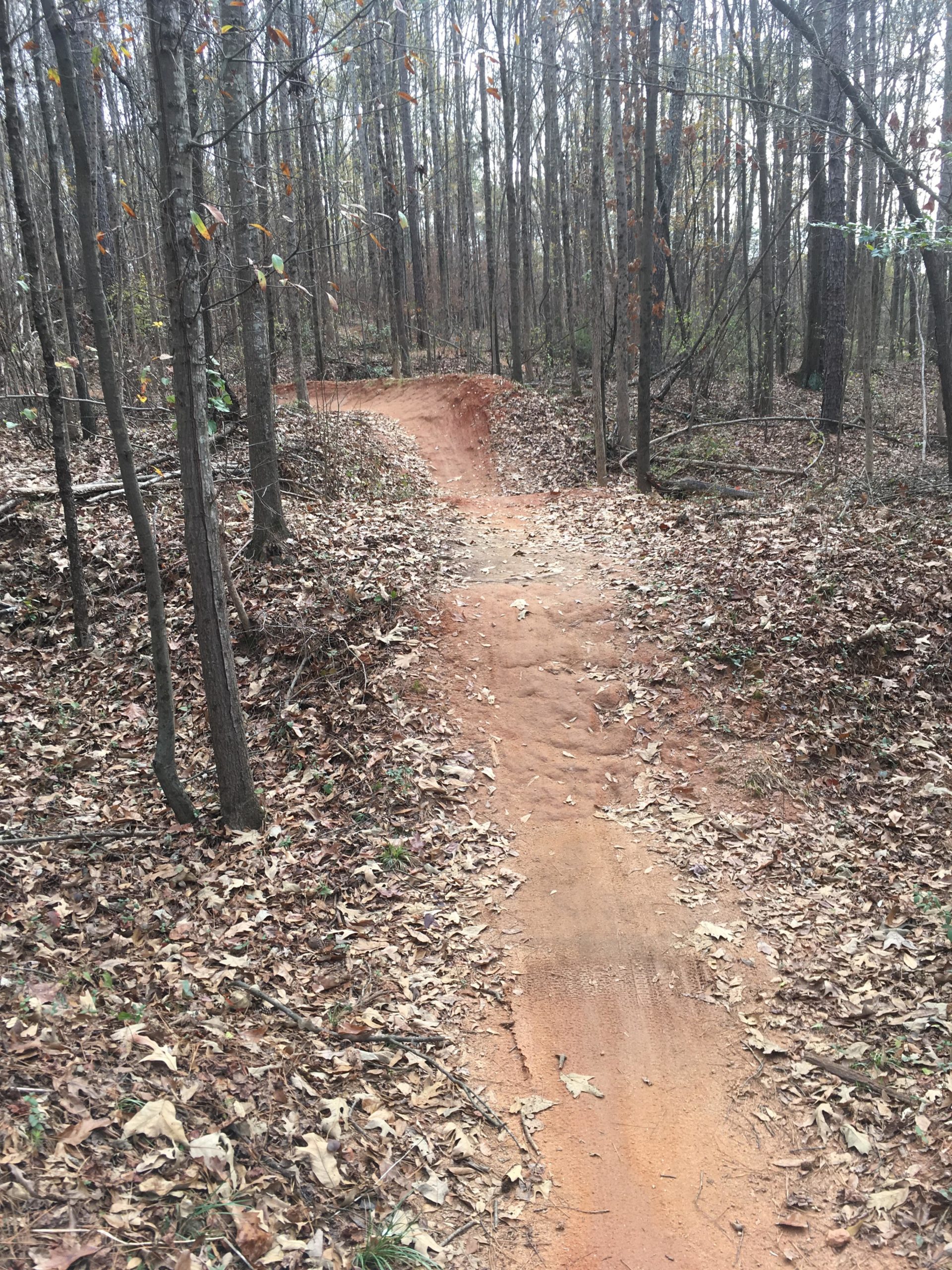 A winding dirt trail through a wooded area, surrounded by tall trees and scattered autumn leaves on the ground. The trail has a slight incline and a smooth surface, indicating it may be used for biking or hiking. The atmosphere is serene and natural with muted colors. Trail Creek Park mountain bike trail.