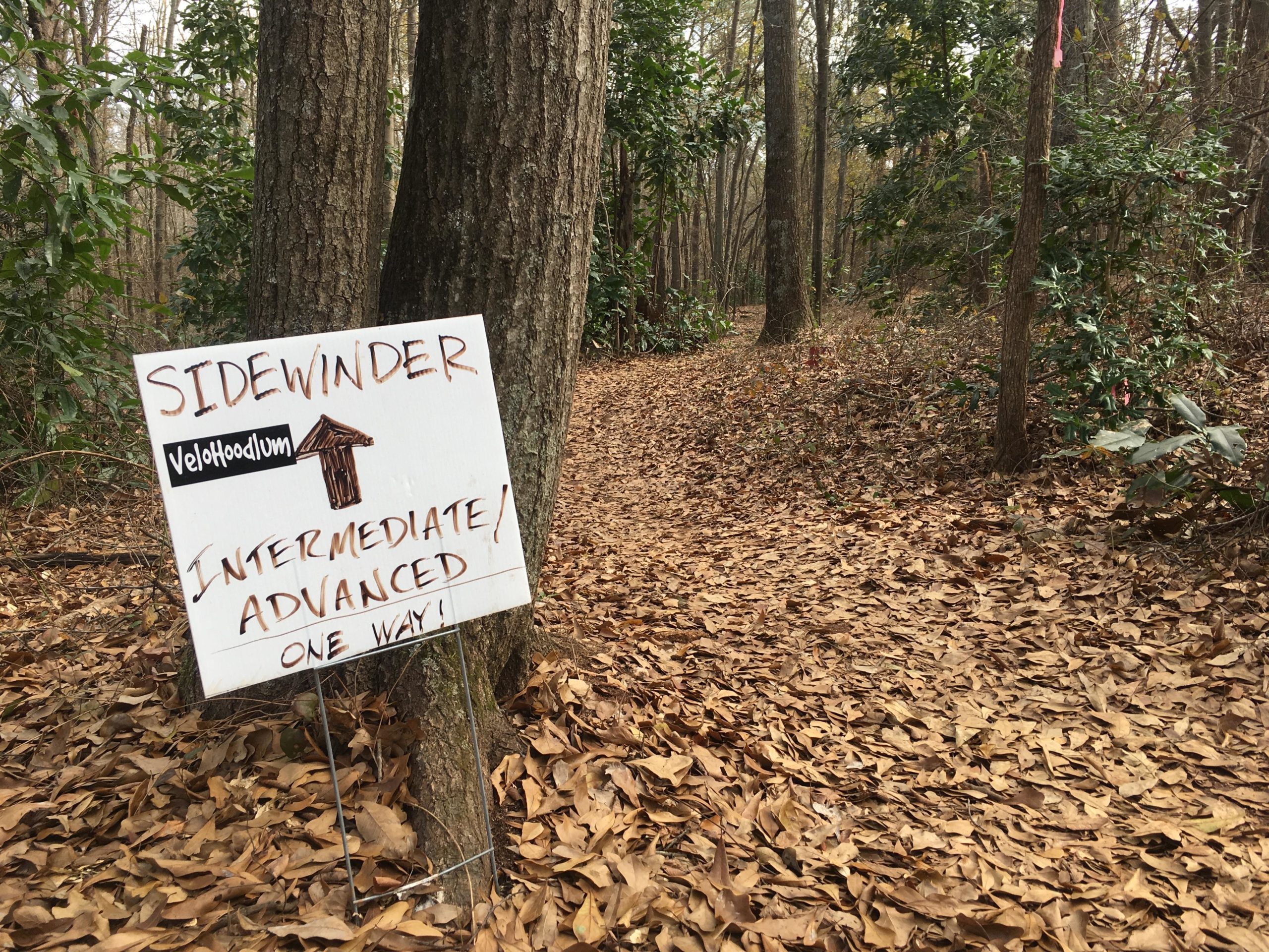 Sign marking the "Sidewinder" trail in a wooded area, indicating the trail is for intermediate and advanced users, and is one-way. The ground is covered in fallen leaves, and the trail winds through the trees. Trail Creek Park mountain bike trail.