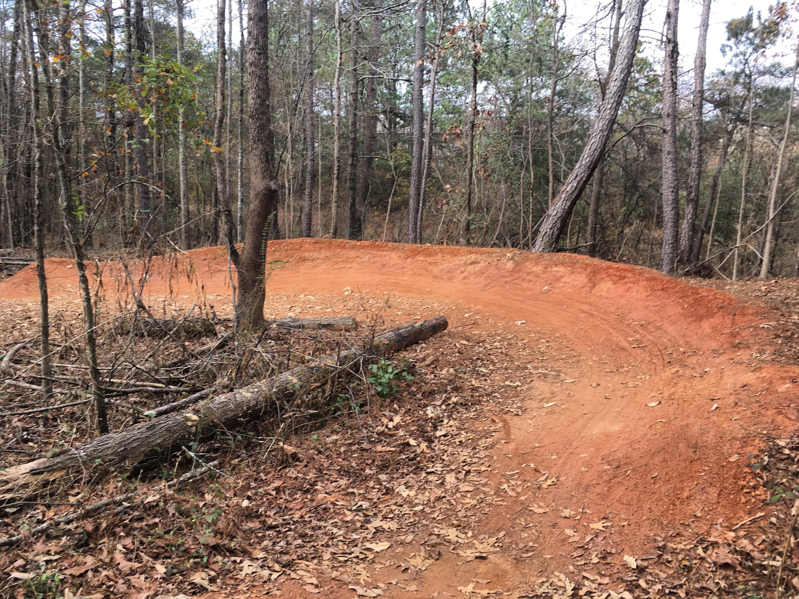 An outdoor dirt bike or mountain biking trail surrounded by trees, featuring a curved path with reddish-brown dirt and scattered fallen leaves. Logs and branches are present along the trail, indicating a natural landscape. Trail Creek Park mountain bike trail.