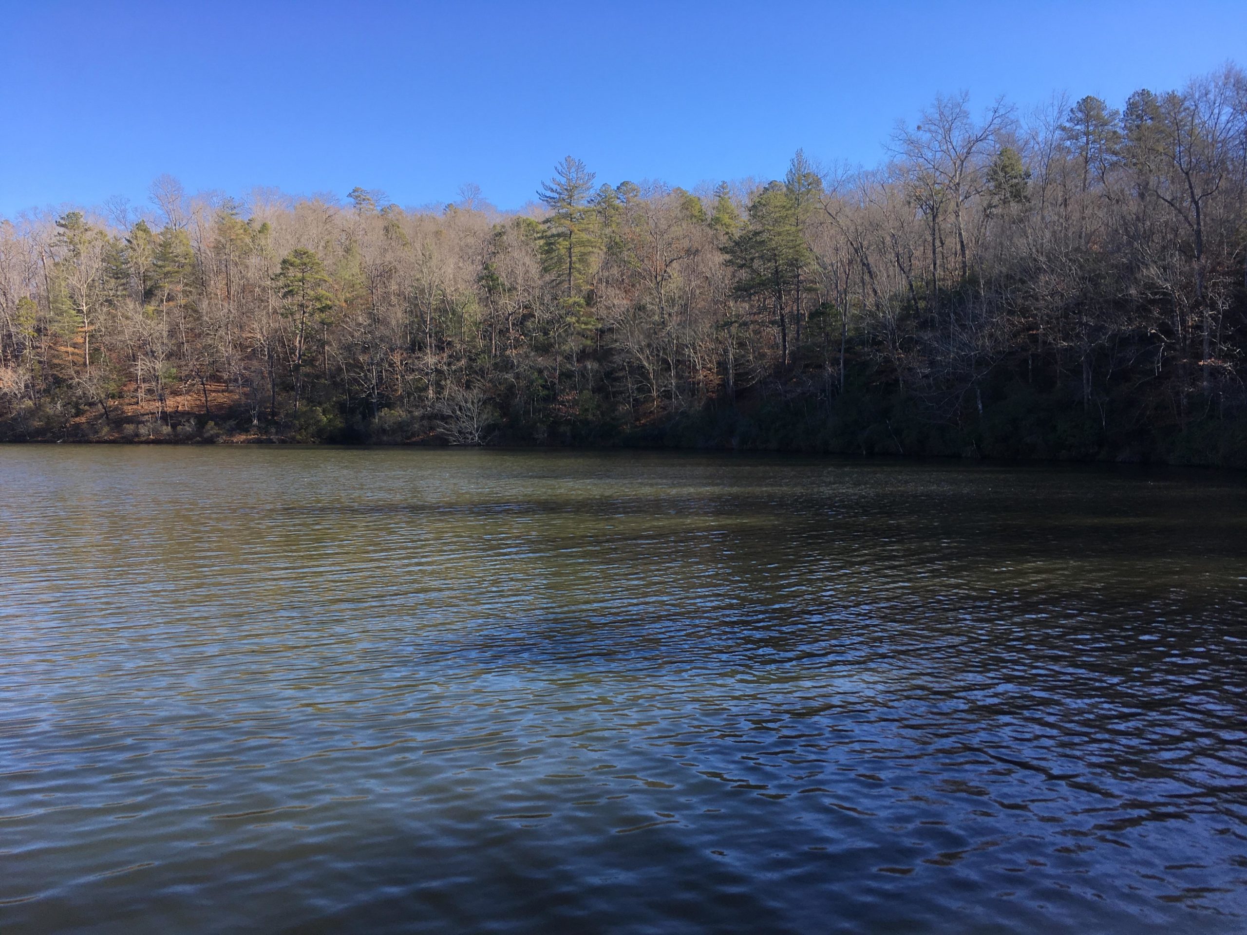 A serene lake surrounded by a forested shoreline under a clear blue sky, with gentle ripples on the water's surface. The trees in the background showcase a mix of evergreen and bare branches, indicating the change of seasons. Issaqueena Lake mountain bike trail.