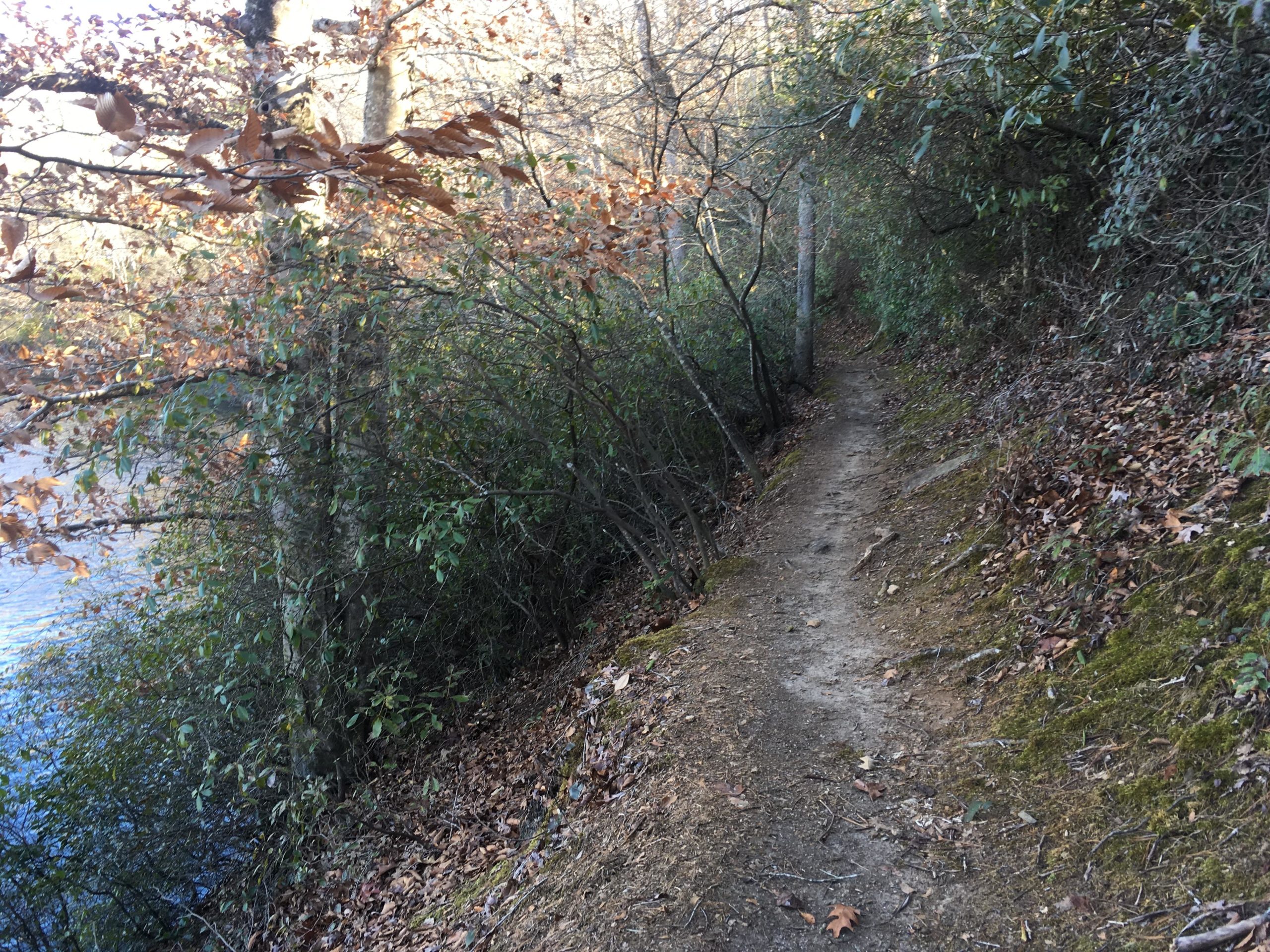 A narrow dirt path lined with trees and shrubs, leading along the edge of a body of water. The trail is surrounded by fallen leaves and greenery, with a gentle slope on one side and the water visible on the other, suggesting a peaceful, natural setting. Issaqueena Lake mountain bike trail.