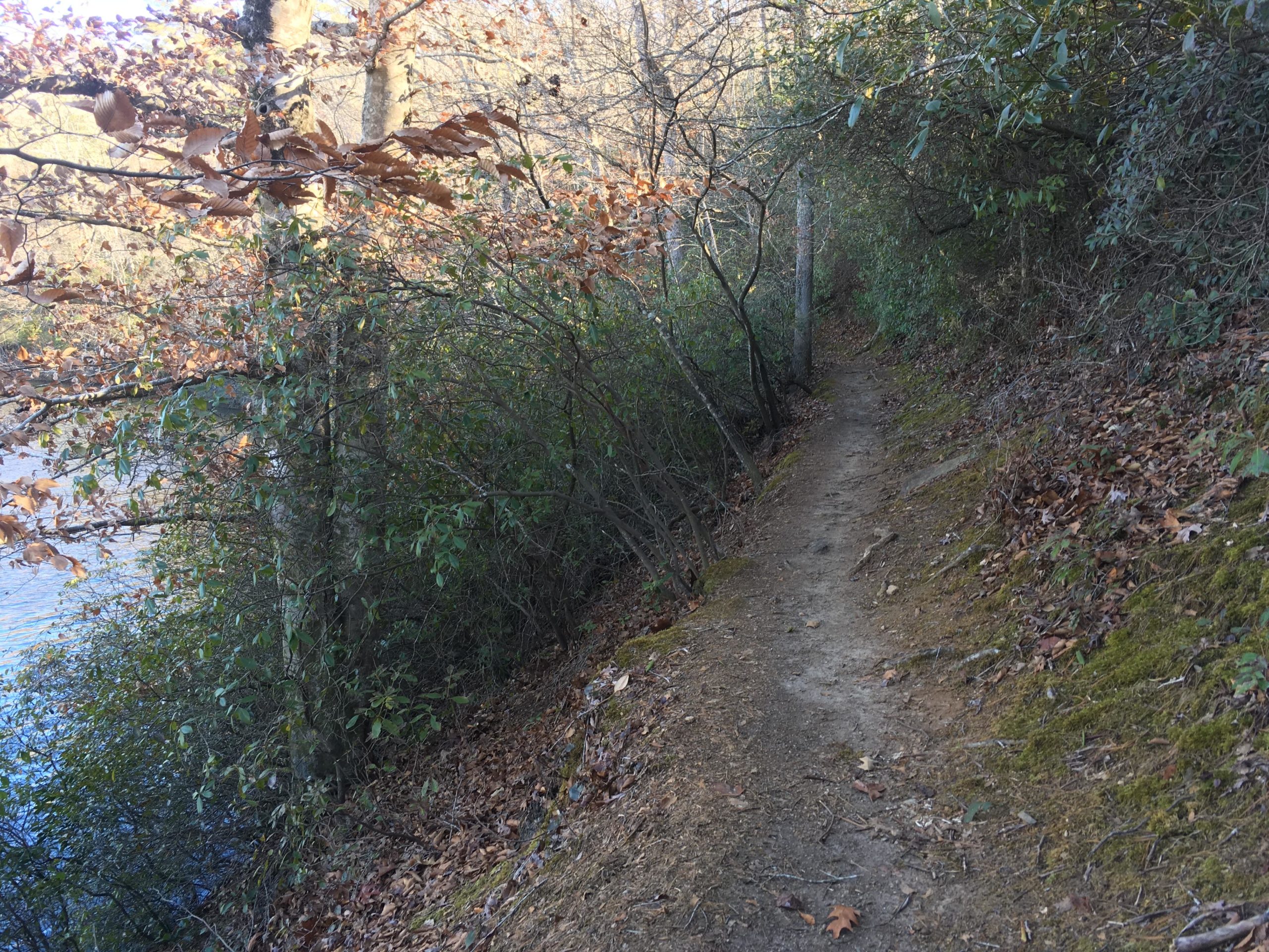 A winding dirt path bordered by trees and shrubs, with scattered autumn leaves on the ground and a body of water visible on the left side. The scene captures a peaceful nature trail. Issaqueena Lake mountain bike trail.