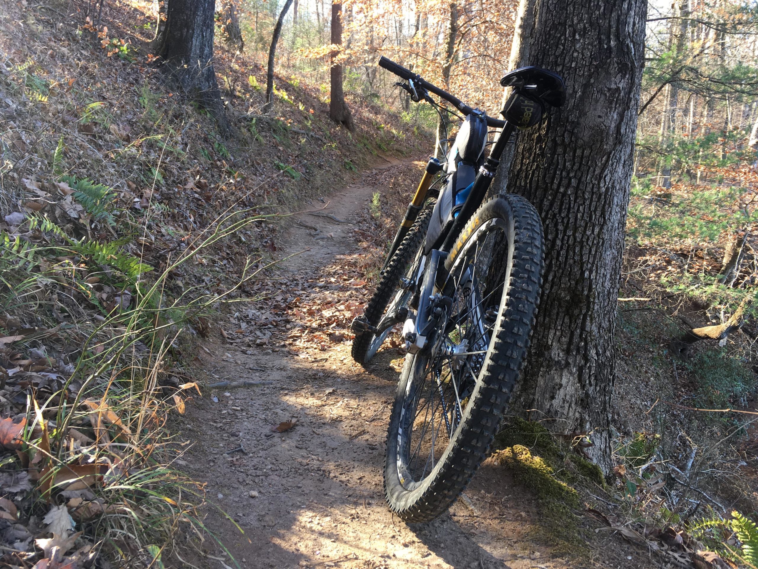 A mountain bike leaning against a tree on a dirt trail surrounded by autumn foliage and sunlit forest. Issaqueena Lake mountain bike trail.