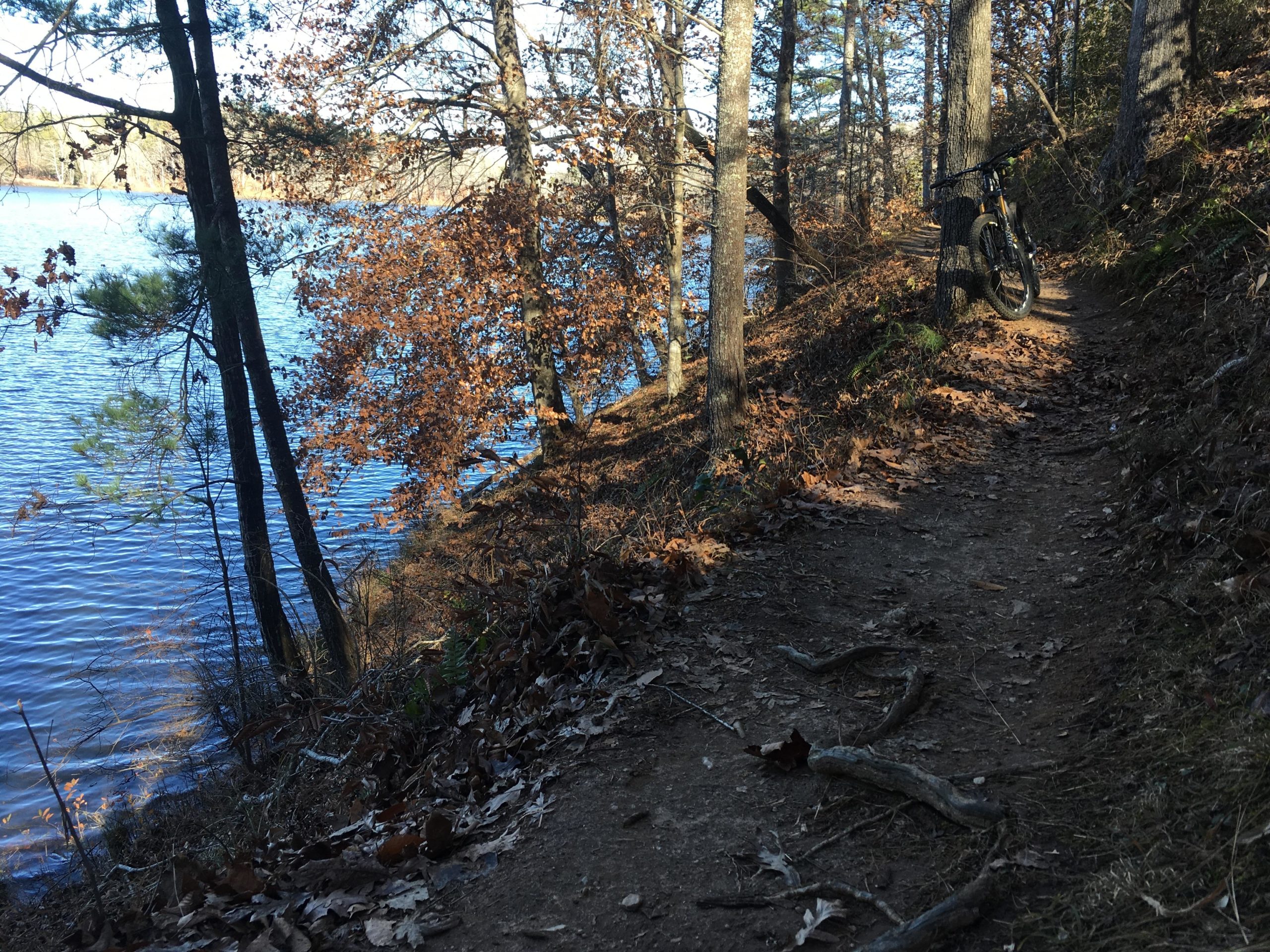 A narrow dirt path lined with fallen leaves, leading along the edge of a serene lake. Tall trees with sparse foliage surround the trail, and a mountain bike is leaned against one of the trees, suggesting a spot for a break or exploration. The water reflects the clear sky, completing the peaceful outdoor scene. Issaqueena Lake mountain bike trail.