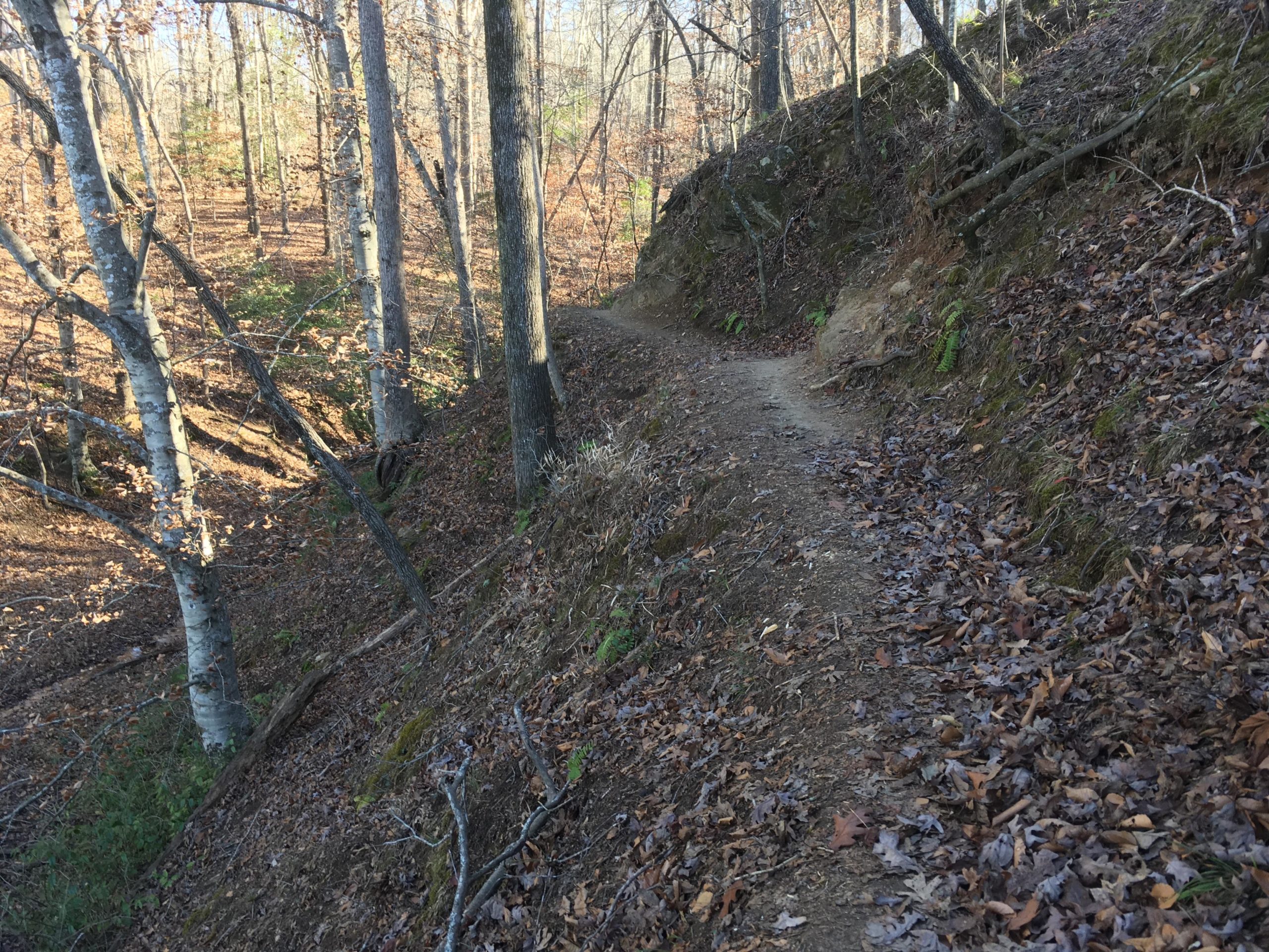 A winding dirt trail bordered by trees and autumn foliage, with a sloped hillside on one side and fallen leaves covering the ground. The forest is sparsely populated with bare branches, indicating a transition from fall to winter. Issaqueena Lake mountain bike trail.