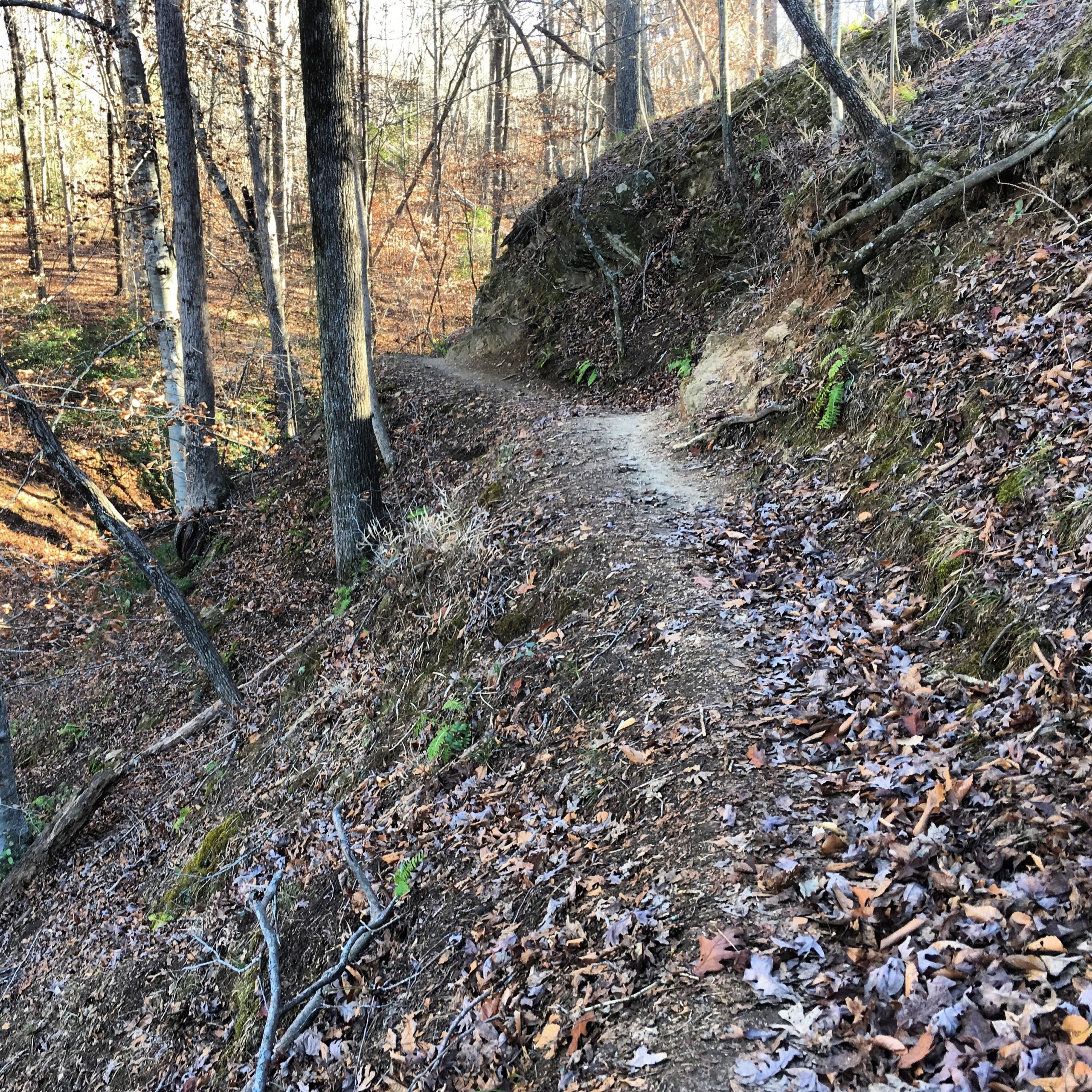 A winding dirt path through a wooded area, surrounded by tall trees and scattered fallen leaves. The trail is edged by a slight incline, with patches of greenery peeking through the autumn foliage. Soft sunlight filters through the branches, creating a serene and peaceful atmosphere. Issaqueena Lake mountain bike trail.