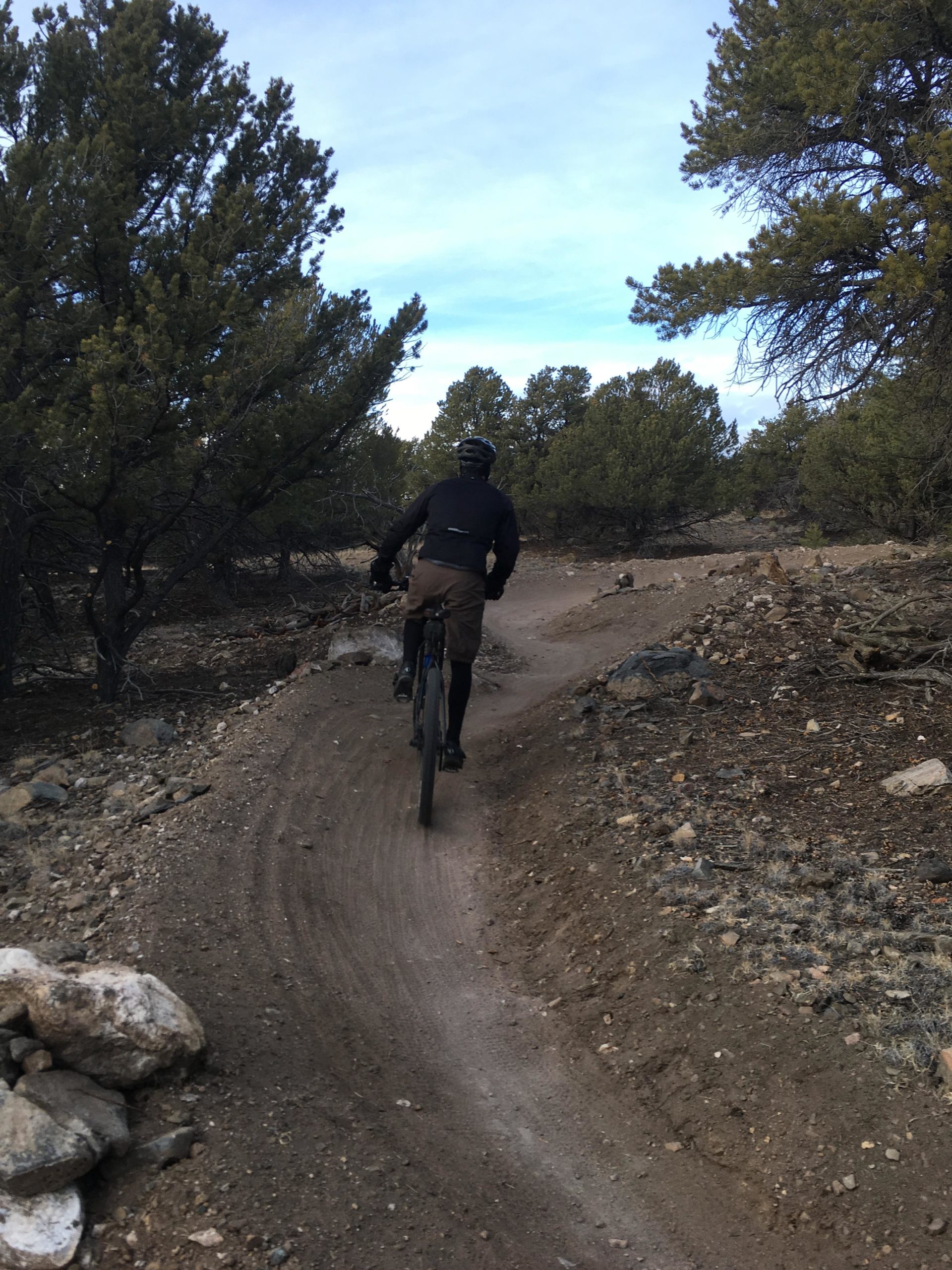 A person riding a mountain bike along a dirt trail surrounded by shrubs and rocks, with trees on either side and a clear sky overhead. The cyclist is seen from behind, navigating a winding path through a natural landscape. Chicken Dinner mountain bike trail.