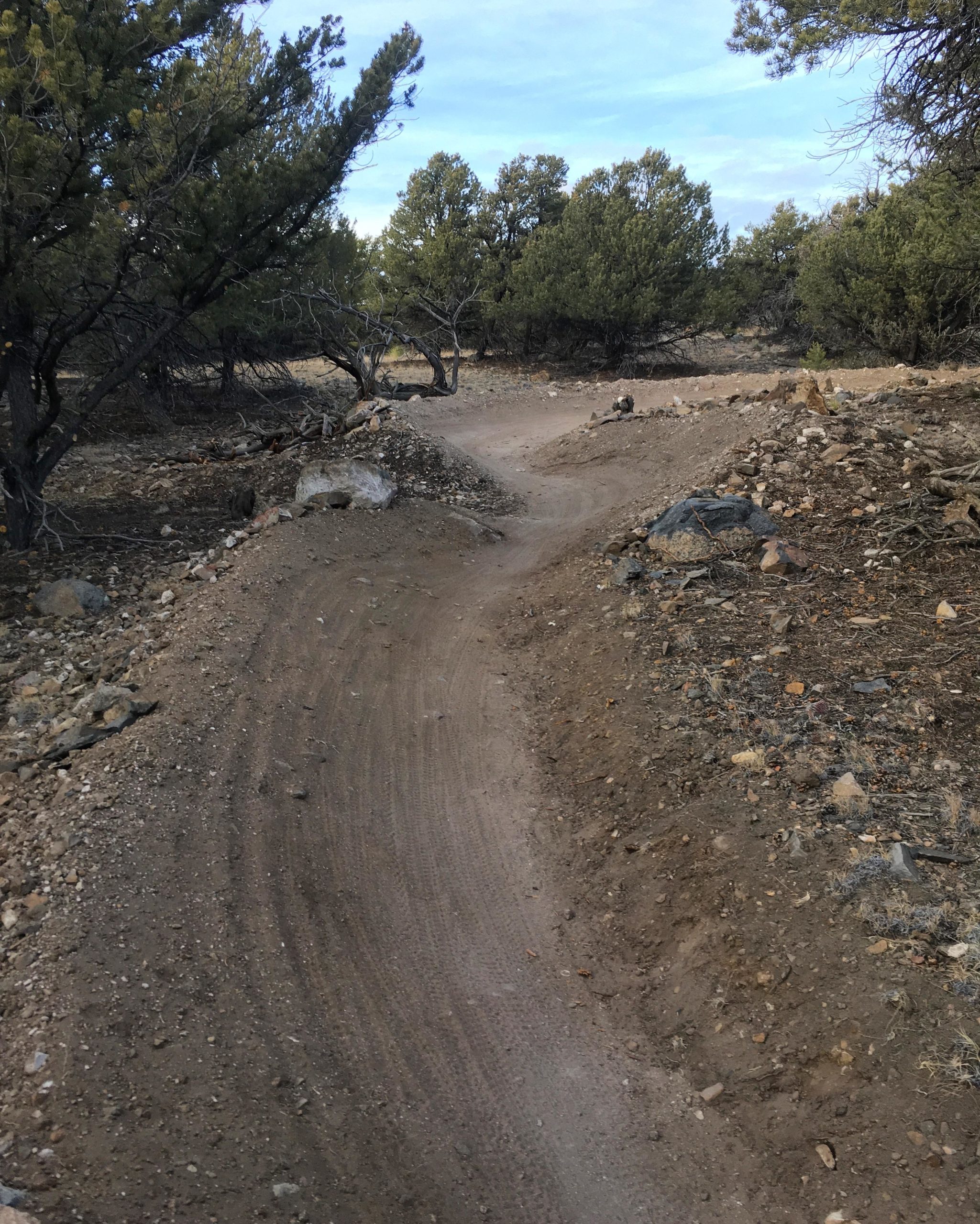 A winding dirt trail surrounded by sparse vegetation, including small trees and rocks, under a partly cloudy sky. The path is well-defined, indicating frequent use, and is lined with a mix of soil and gravel. Chicken Dinner mountain bike trail.