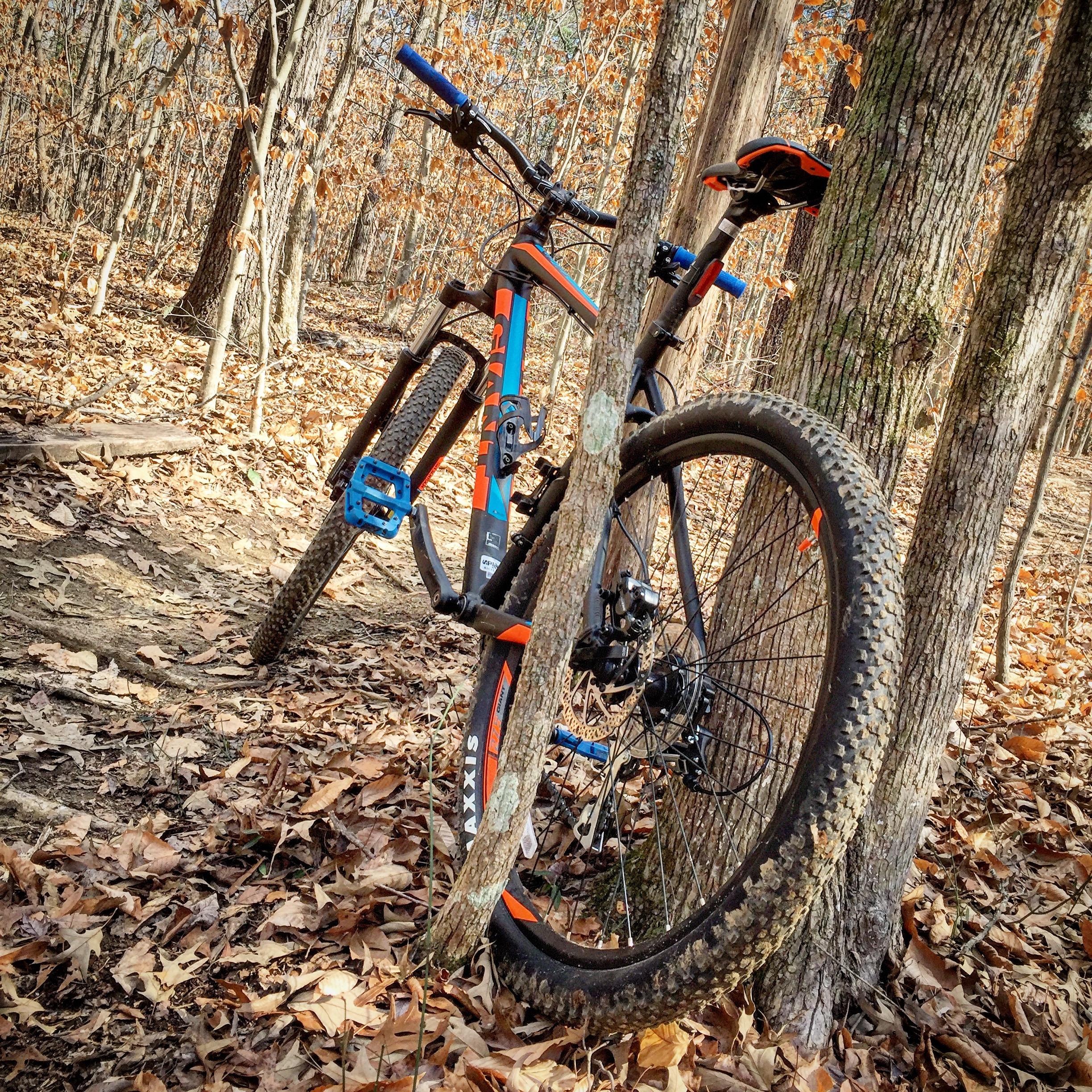 Giant Talon 27.5 4: A mountain bike leaning against a tree in a wooded area, surrounded by fallen leaves and autumn foliage. The bike features a vibrant orange and blue design, with a sturdy frame and knobby tires suitable for off-road terrain.