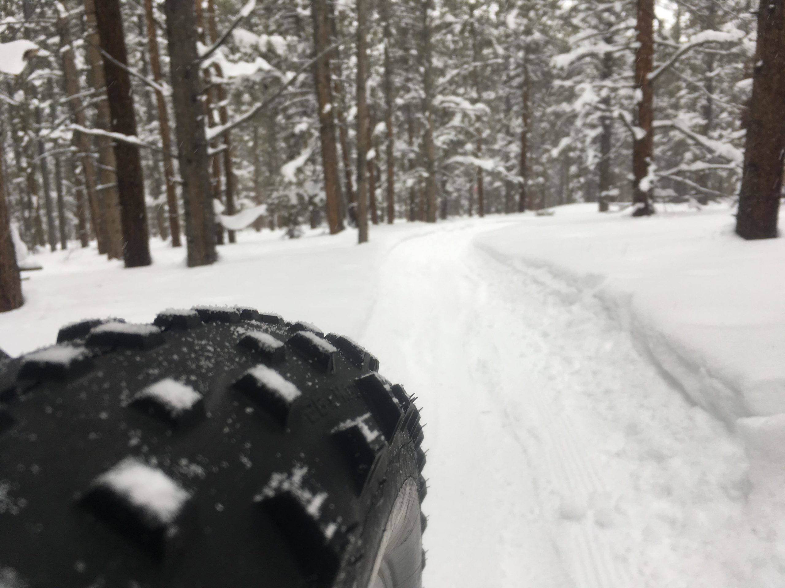 A close-up view of a bike tire with a textured tread, resting on a snowy path in a forest. Tall trees covered in snow line the trail, which winds through the winter landscape. Colorado Mountain College Trails mountain bike trail.