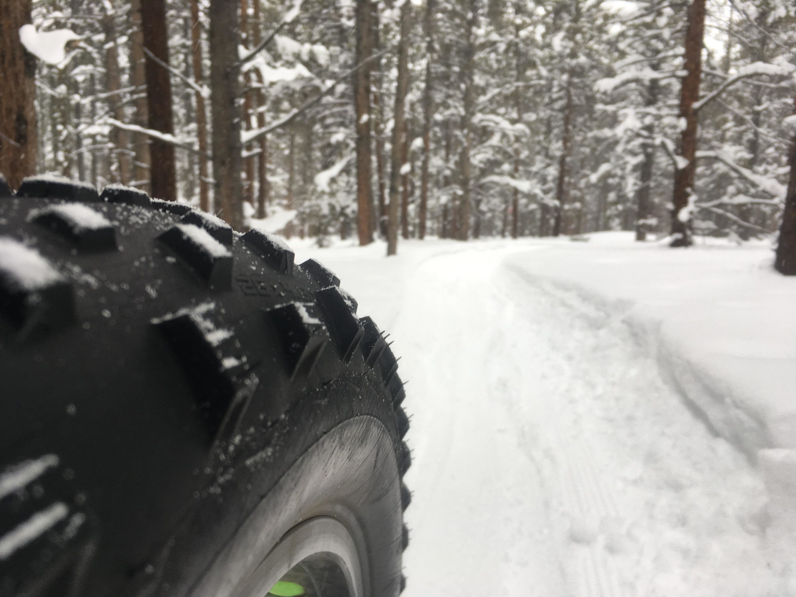 Close-up view of a knobby tire on a snow-covered path in a forest. The background features tall trees blanketed in snow, indicating winter conditions. Tire tracks are visible in the fresh snow, suggesting recent activity on the trail. Colorado Mountain College Trails mountain bike trail.