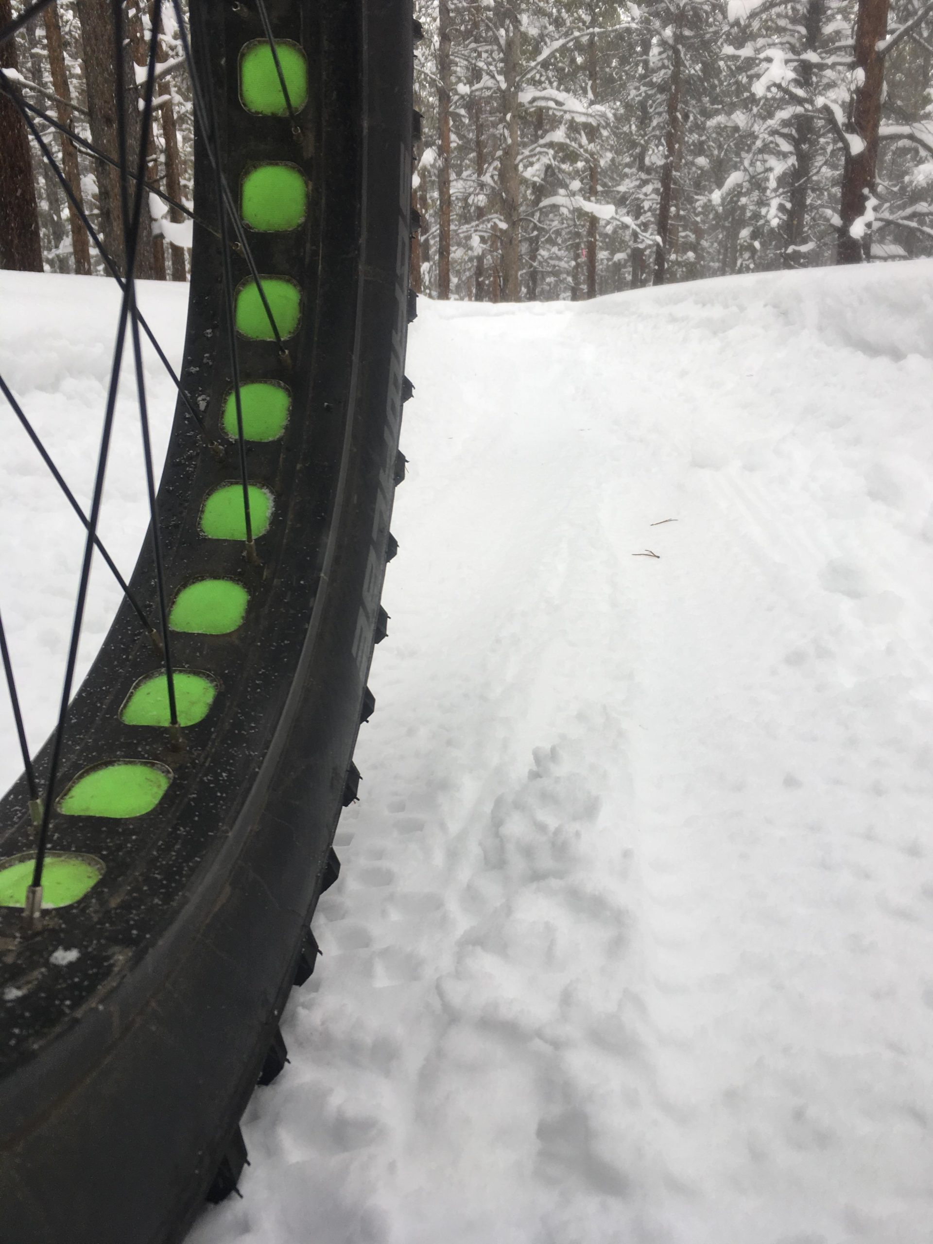 A close-up view of a fat bike tire with bright green dots, resting on a snow-covered trail surrounded by pine trees. The snowy path shows previous tire tracks, indicating winter biking activity in a forested area. Colorado Mountain College Trails mountain bike trail.