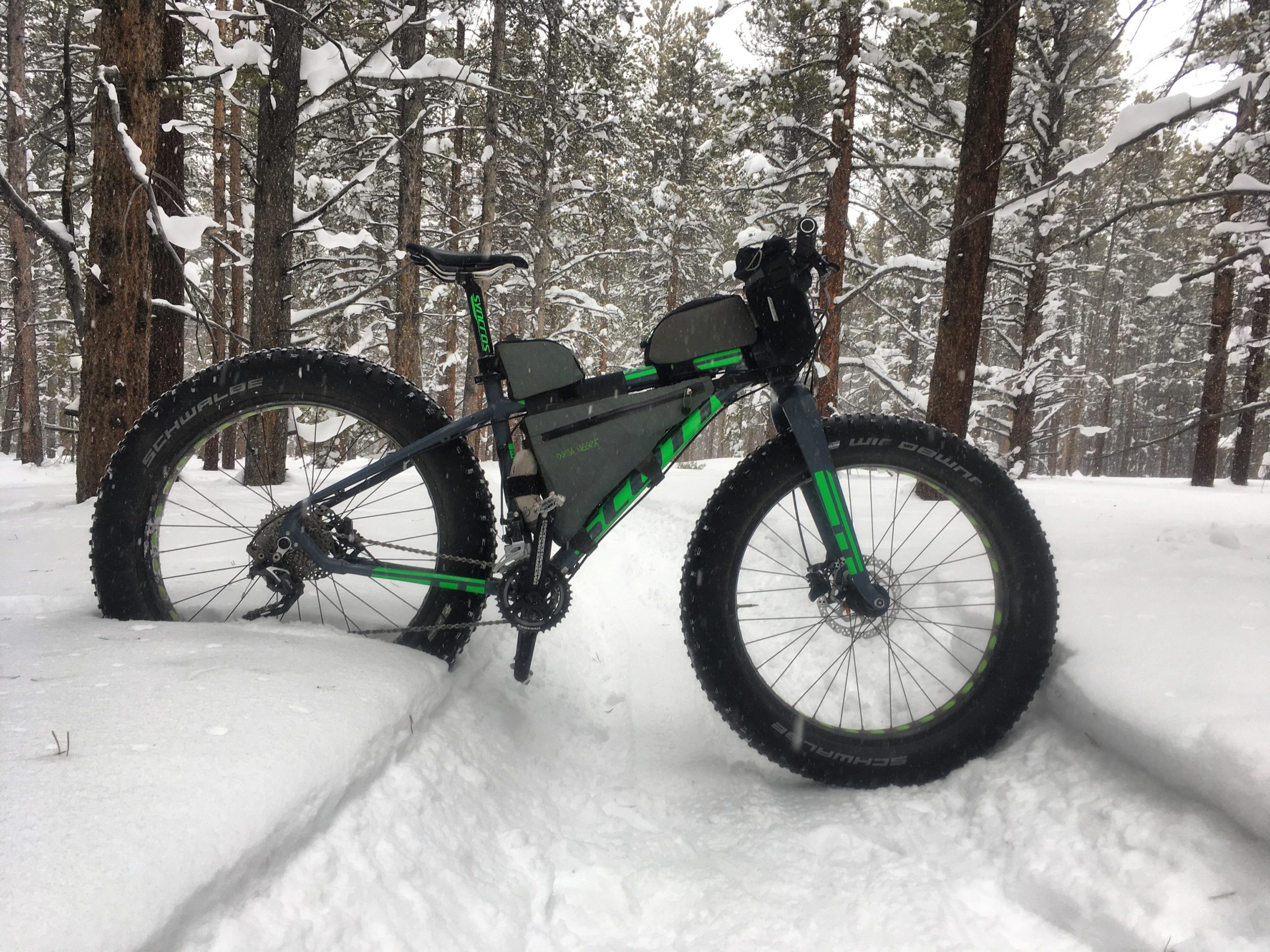 A fat bike parked in a snowy forest, surrounded by tall pine trees. The bike features wide tires, a green and black frame, and a saddle bag. Snow covers the ground and branches, creating a serene winter landscape. Tracks in the snow indicate a recent ride through the area. Colorado Mountain College Trails mountain bike trail.