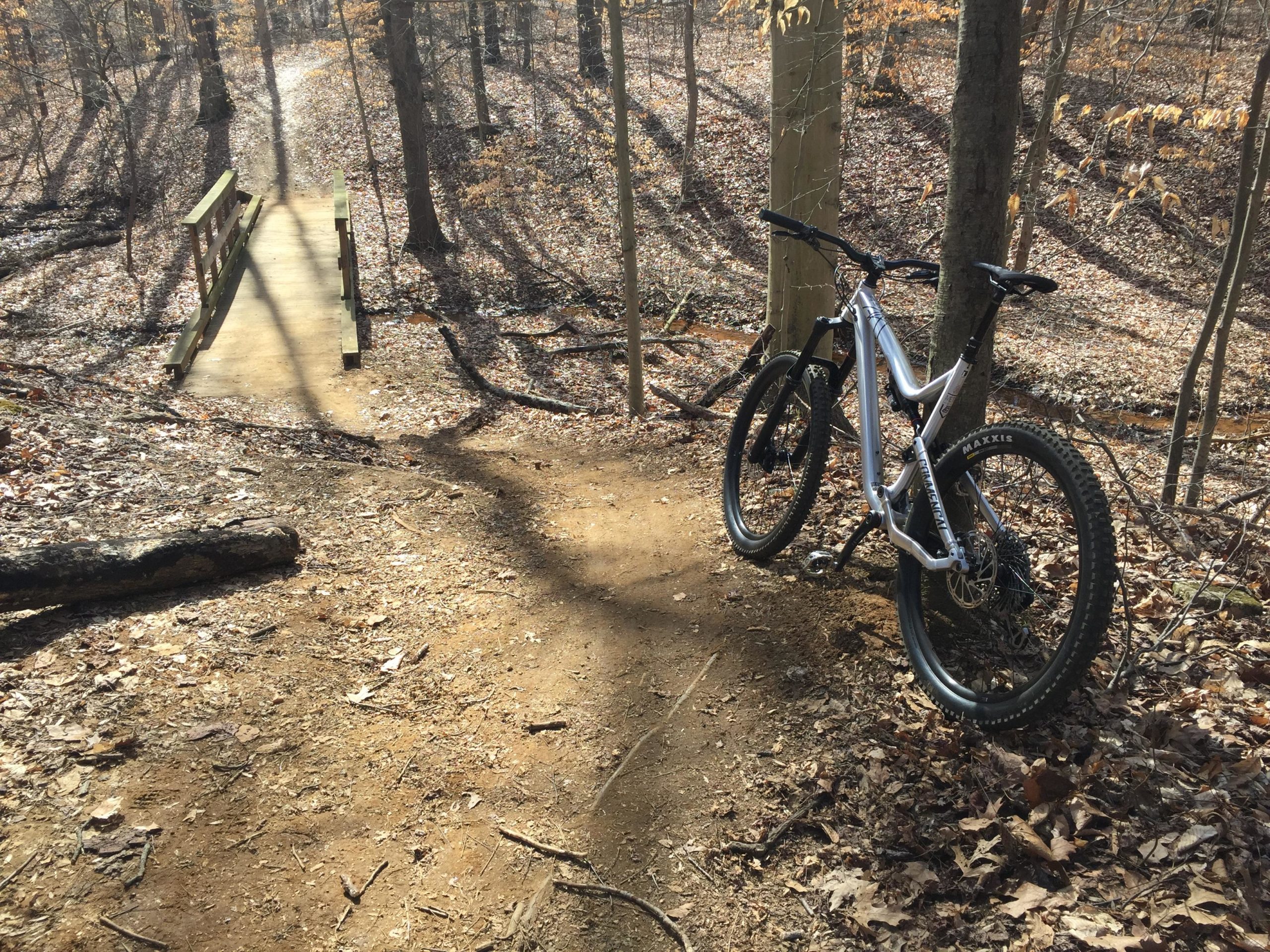 A mountain bike resting on a dirt path in a forested area, with a wooden bridge visible in the background. The ground is covered with fallen leaves, and the trees cast long shadows in the sunlight. Clayton Park mountain bike trail.