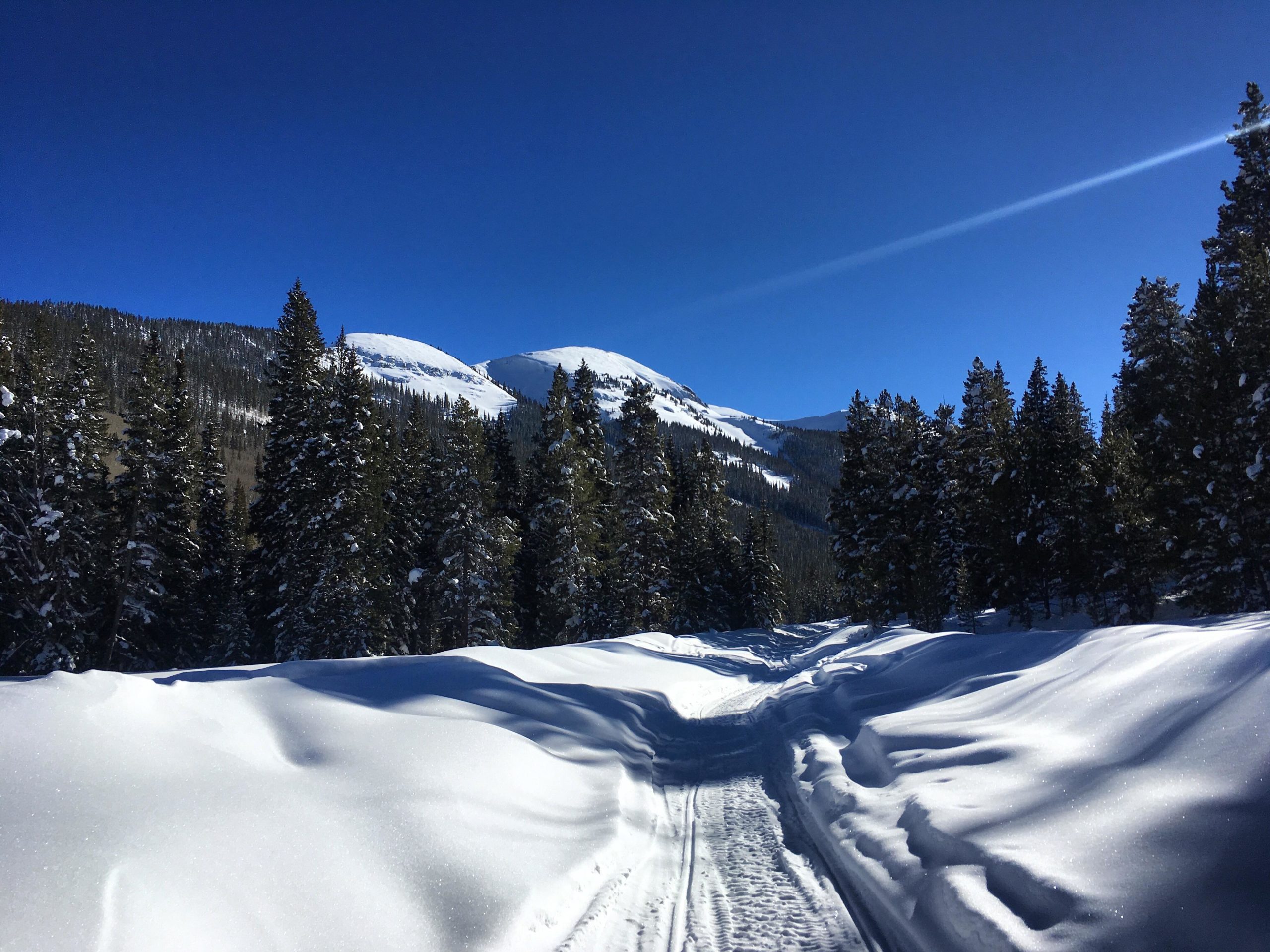 A serene winter landscape featuring a snow-covered trail winding through tall evergreen trees. In the background, two snow-capped mountains rise under a clear blue sky, creating a picturesque and tranquil outdoor scene. County Road 294 mountain bike trail.