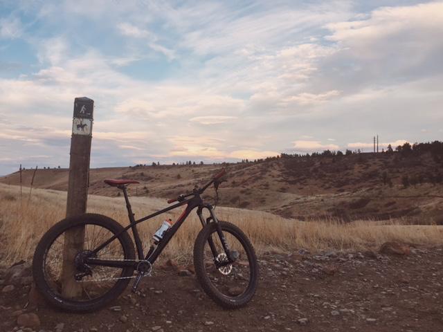 Specialized FUSE EXPERT 6FATTIE: 