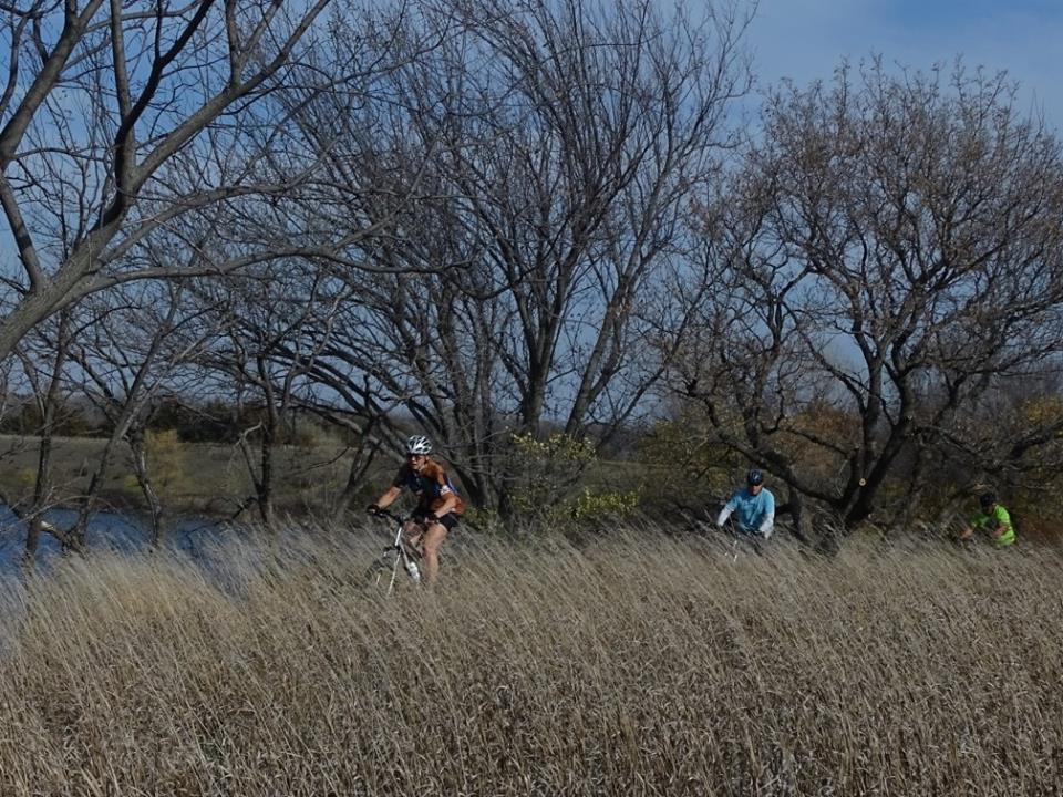 A group of three cyclists riding through tall grass, surrounded by bare trees and a blue sky. In the background, a body of water is visible, adding to the natural landscape. The cyclists are focused on the trail ahead, dressed in various cycling attire.