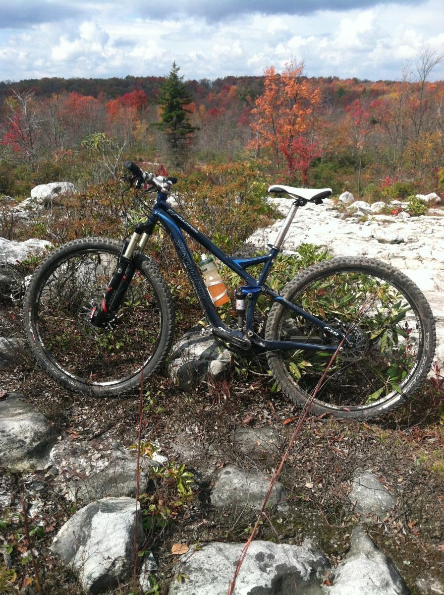 Specialized Stumpjumper FSR 29: A blue mountain bike stands on rocky terrain with autumn foliage in the background. The bike is partially obscured by shrubs and features a water bottle attached to its frame. The trees behind are displaying vibrant fall colors, including shades of orange and red, under a cloudy sky.