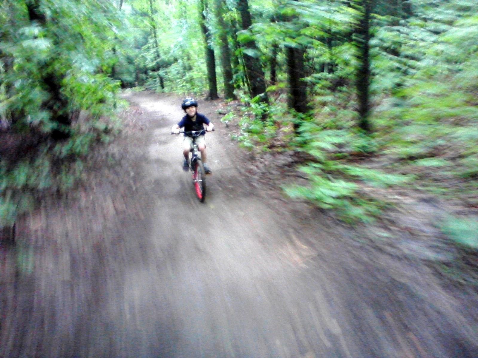 Colchester High School Woods Mountain Bike Trail in Colchester, Vermont