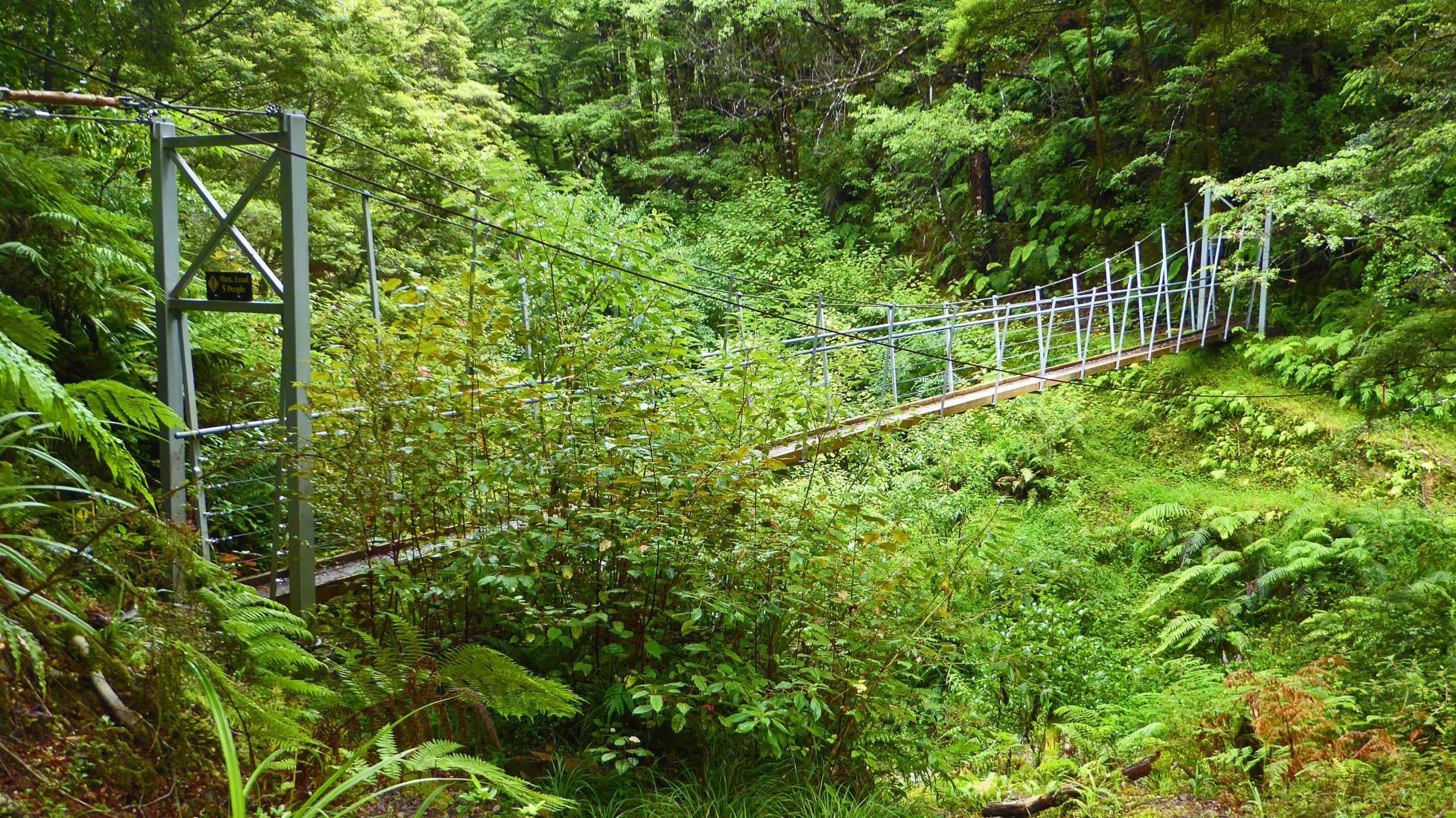 A suspension bridge spanning a narrow gorge, surrounded by lush green foliage and dense vegetation in a forested area. The bridge features a metal frame and wooden planks, with cables supporting it above the ground. Murray Creek to Ajax track loop mountain bike trail.