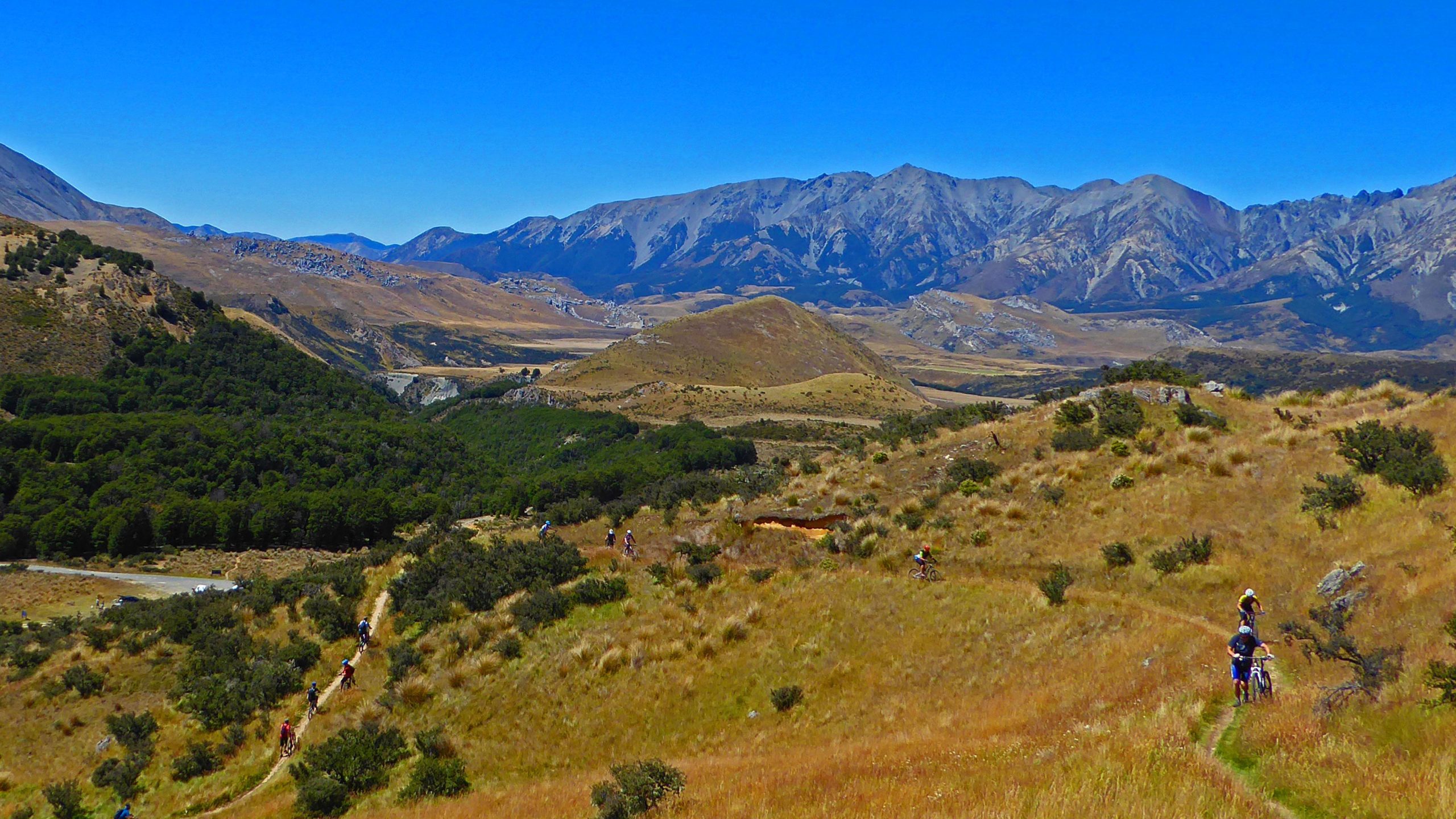 A scenic mountain landscape featuring rolling hills and a clear blue sky. Several cyclists are riding along a winding trail that cuts through grassy fields and patches of forest. The backdrop showcases majestic mountains, highlighting the natural beauty of the area. Craigieburn Forest mountain bike trail.