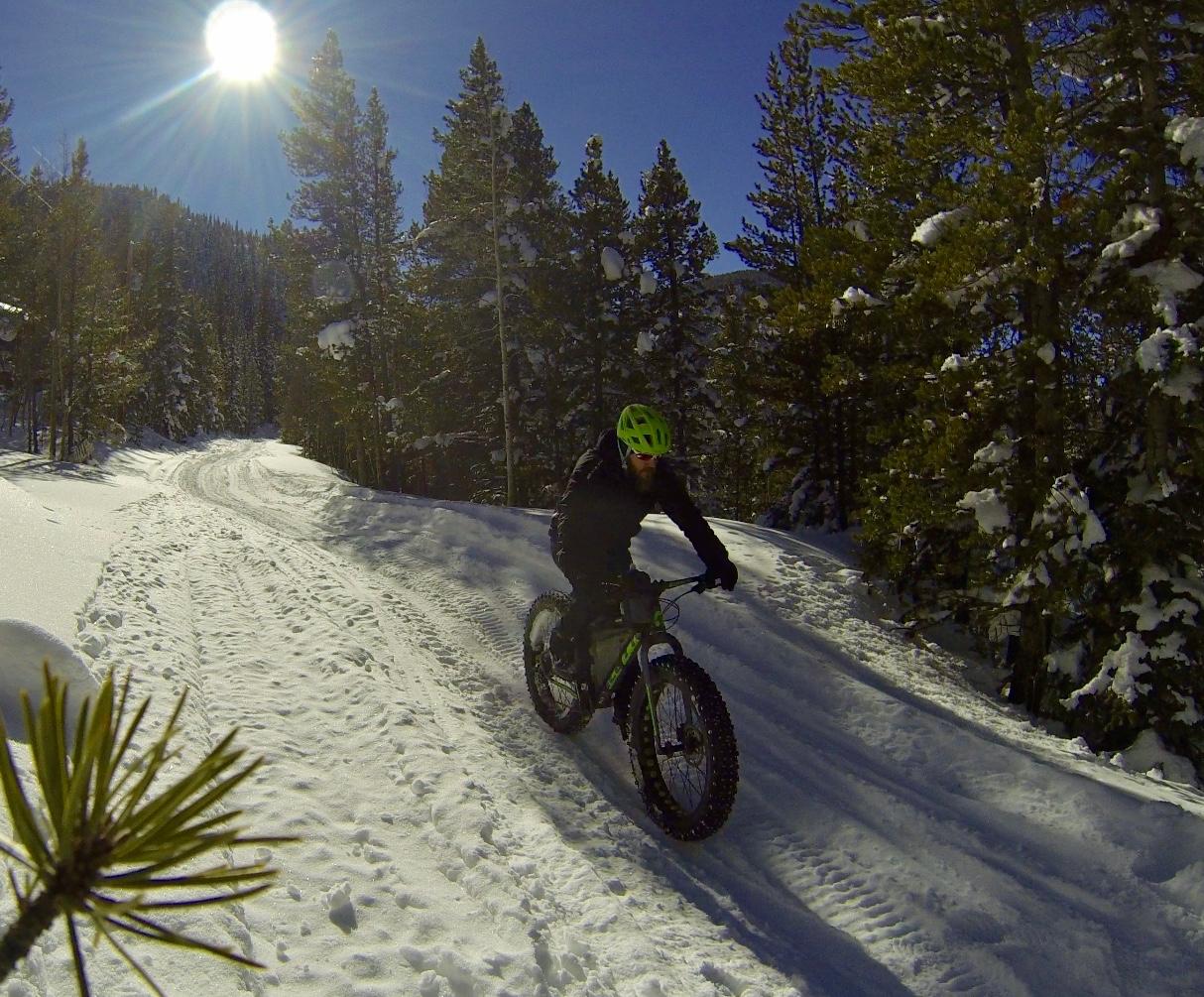 A person riding a fat bike on a snowy trail surrounded by tall pine trees, with a bright sun shining overhead in a clear blue sky. Snow-covered ground shows bike tire tracks, indicating recent activity in a winter landscape. Hancock Road mountain bike trail.